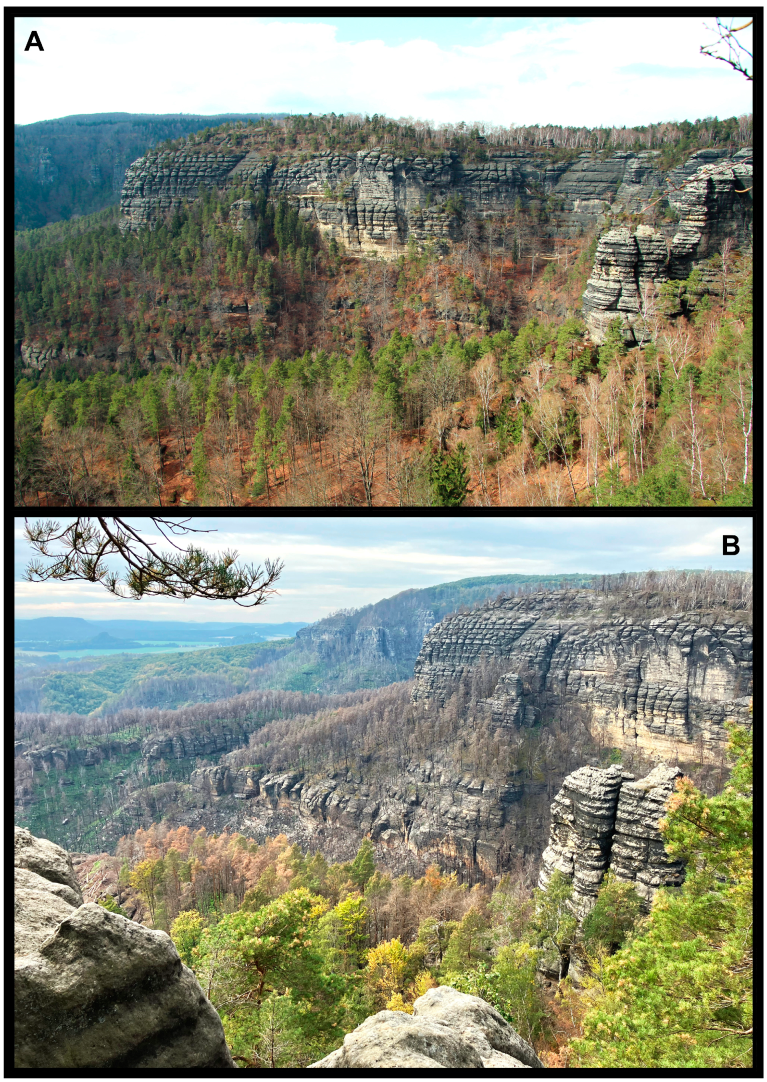 Geosciences 13 00383 g004