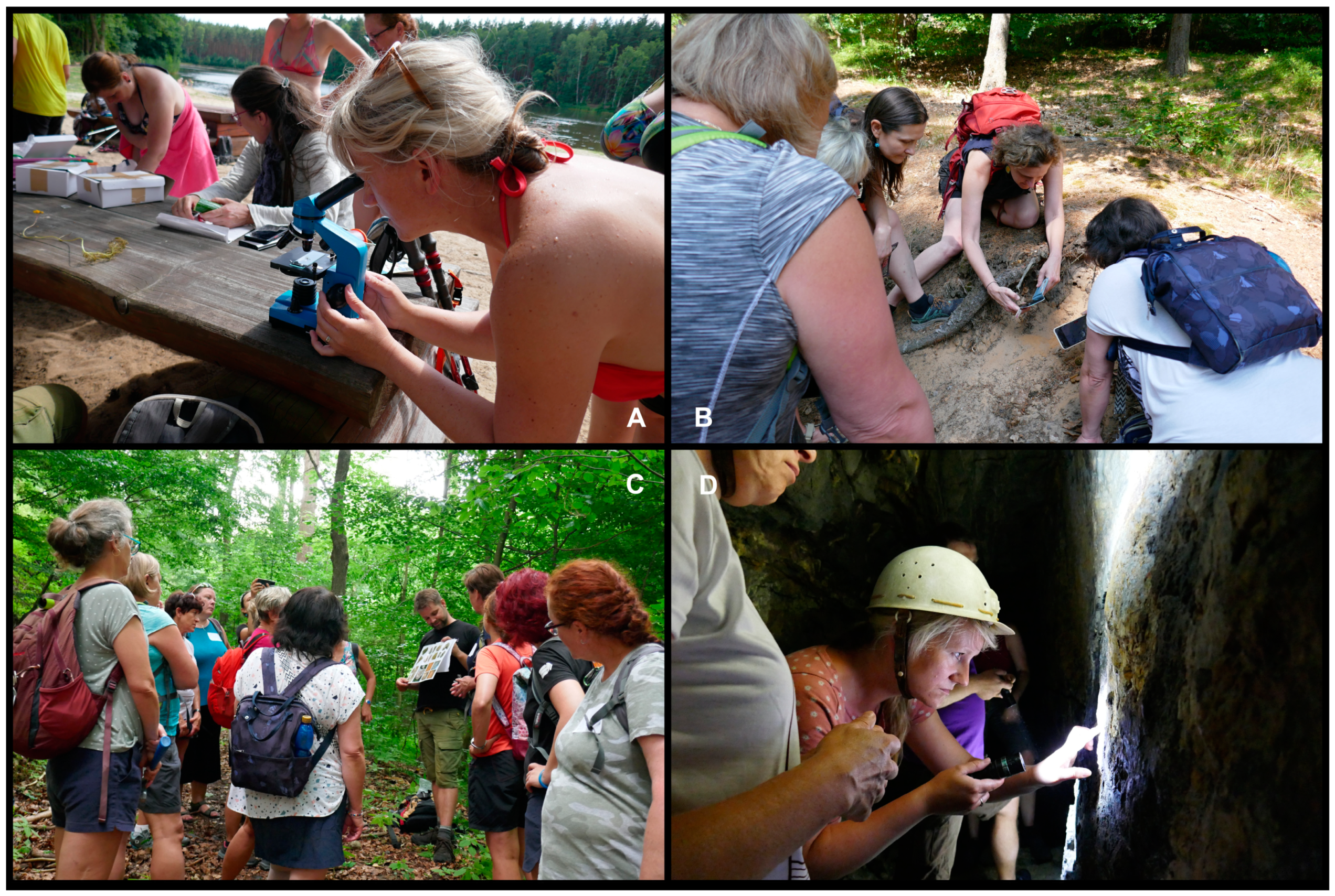 Geosciences 13 00383 g005