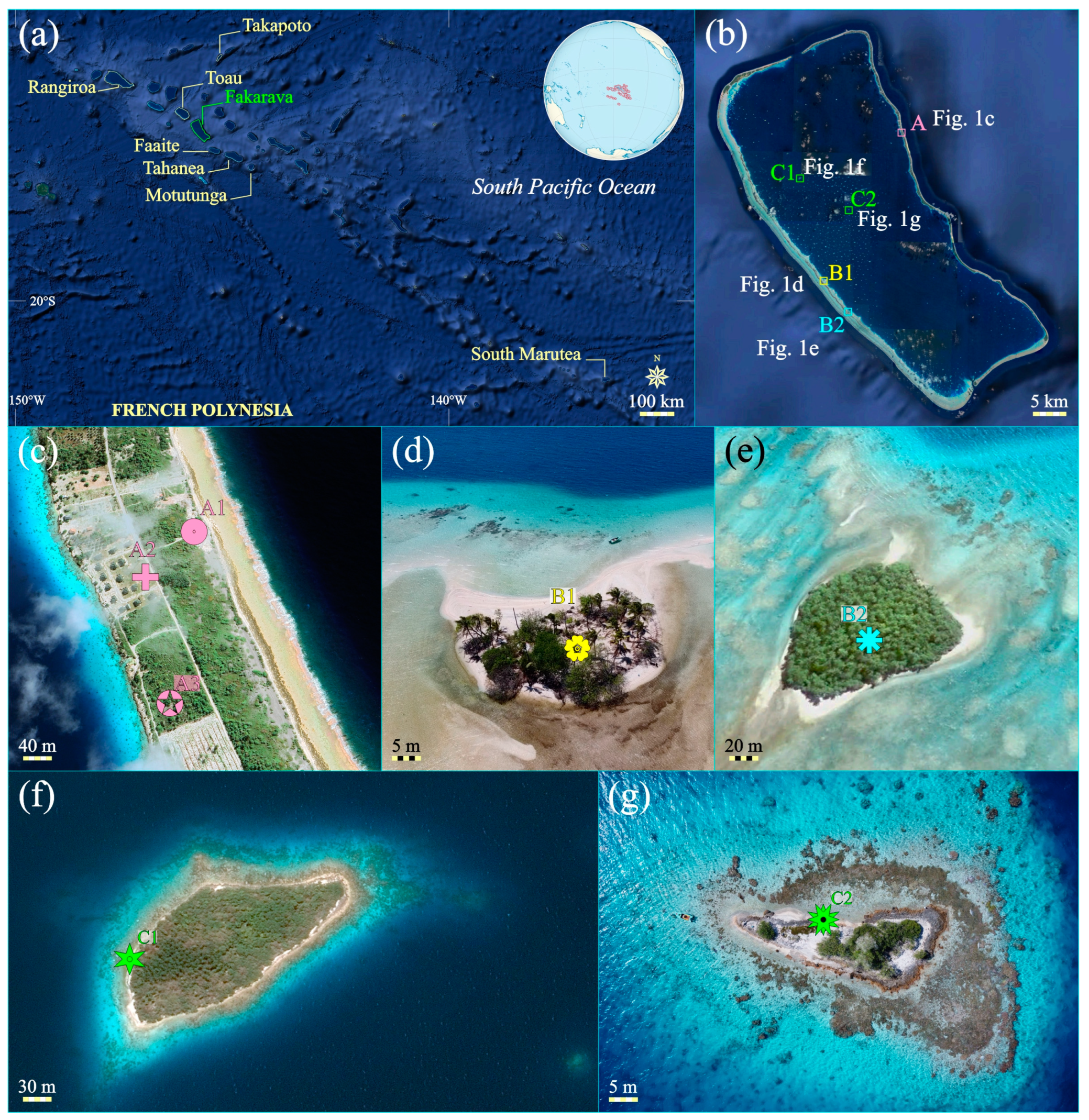 Geosciences 13 00389 g001