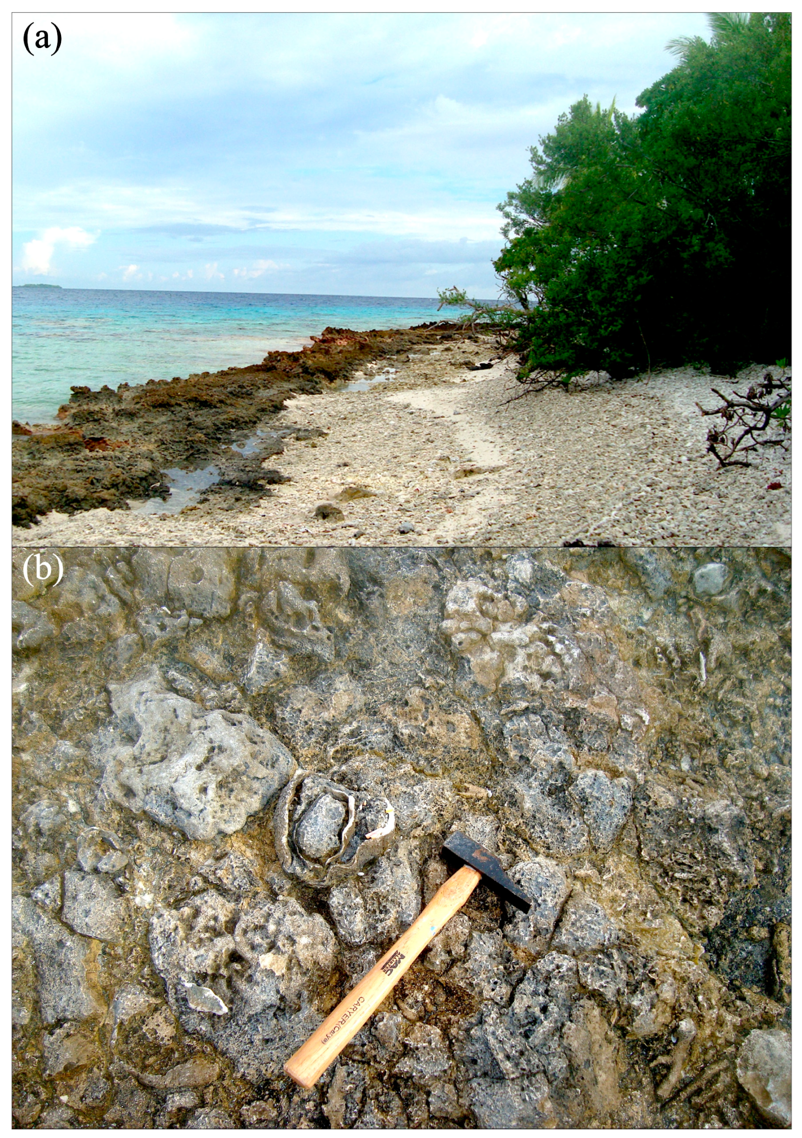 Geosciences 13 00389 g006