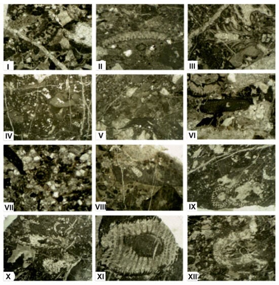 Geosciences 14 00010 g024