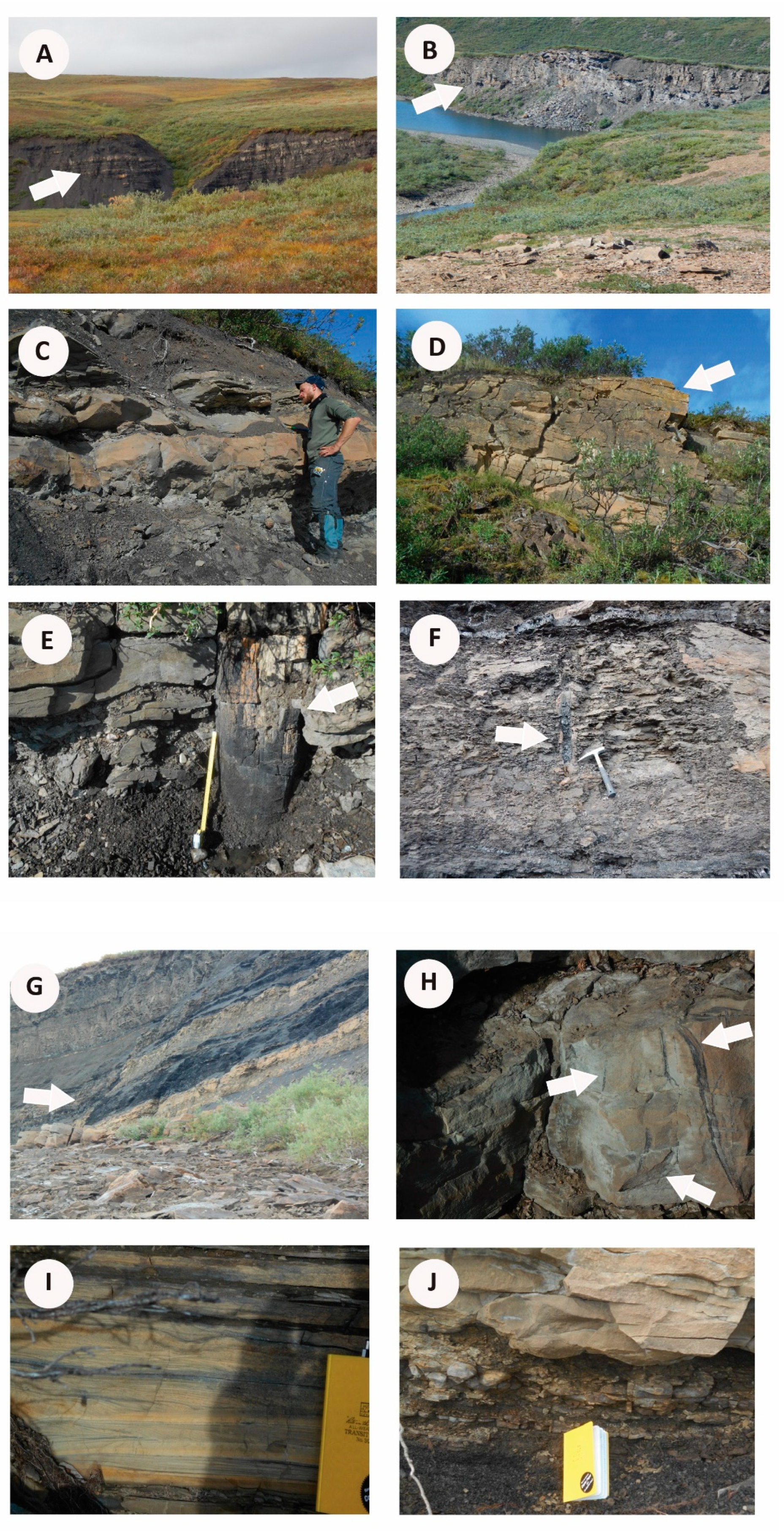 Geosciences 14 00036 g005