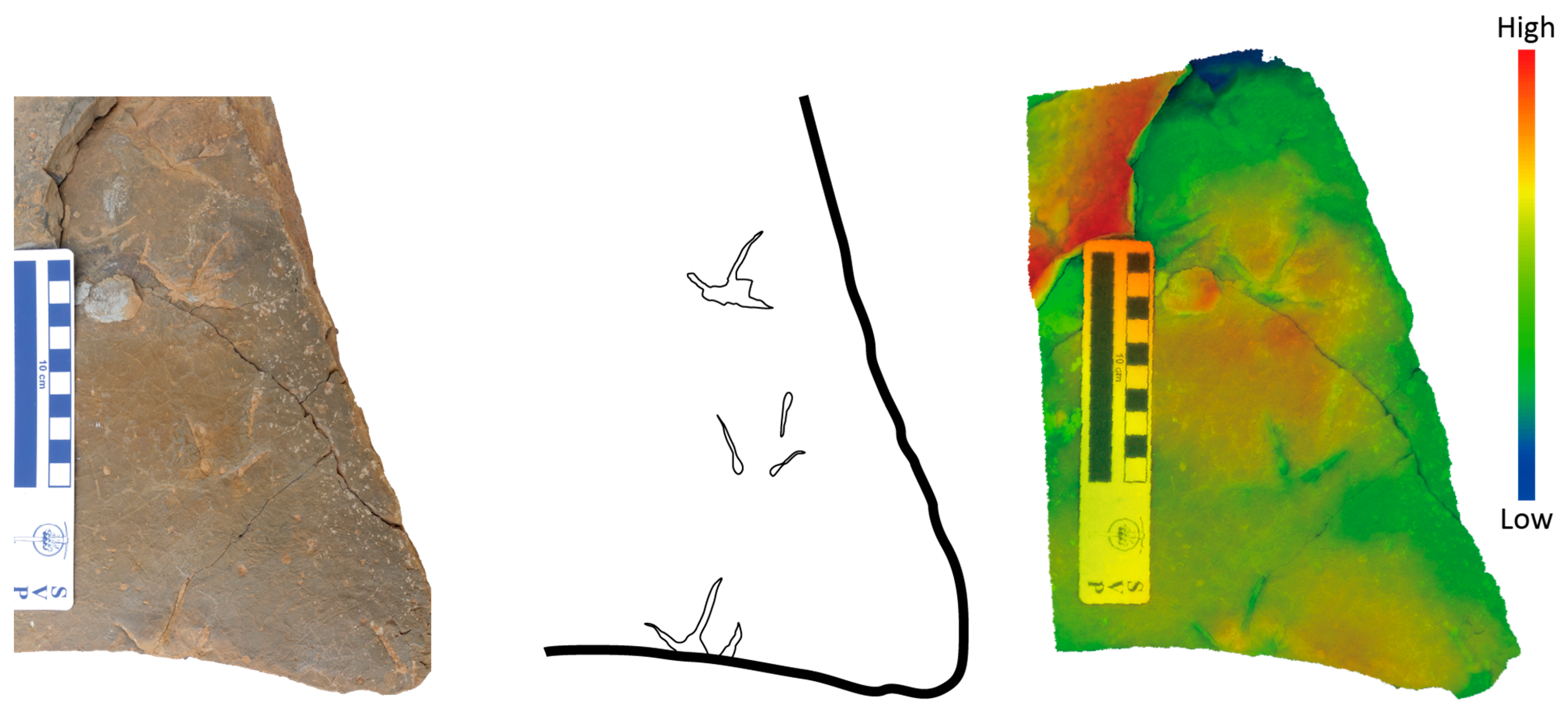 Geosciences 14 00036 g008