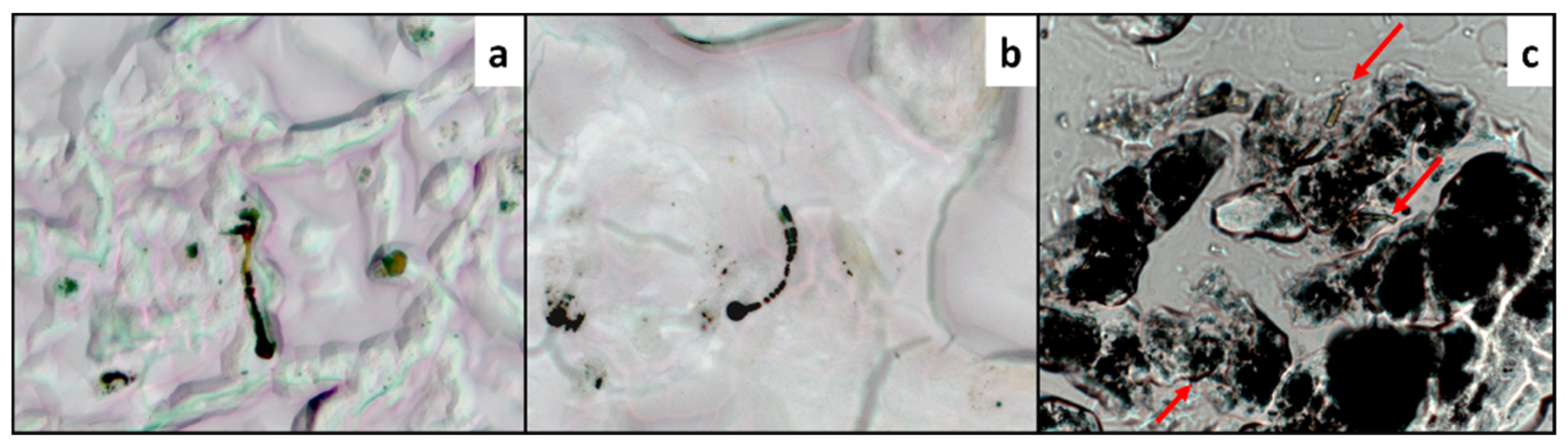 Geosciences 14 00058 g001