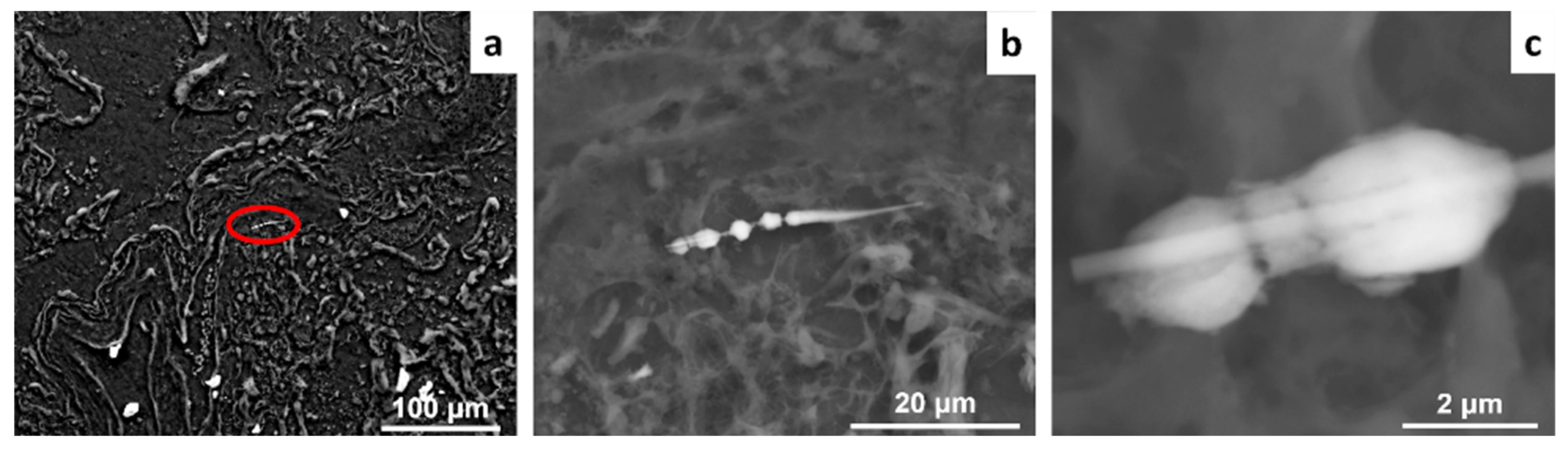 Geosciences 14 00058 g002