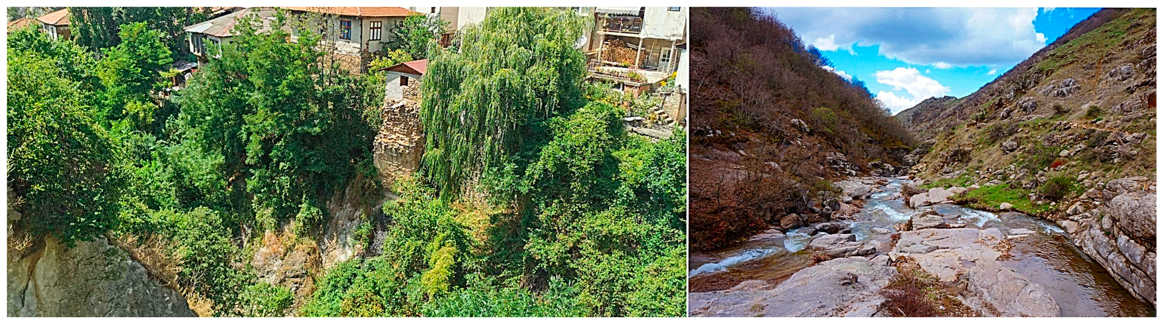 Geosciences 14 00062 g005