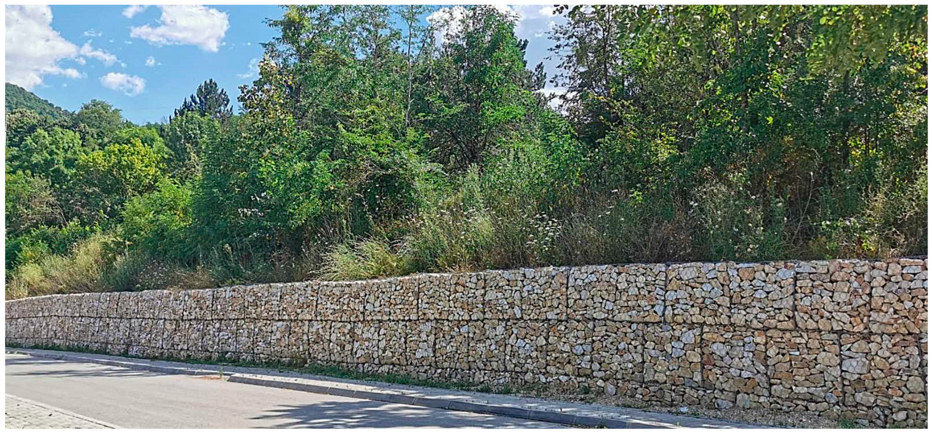 Geosciences 14 00062 g011