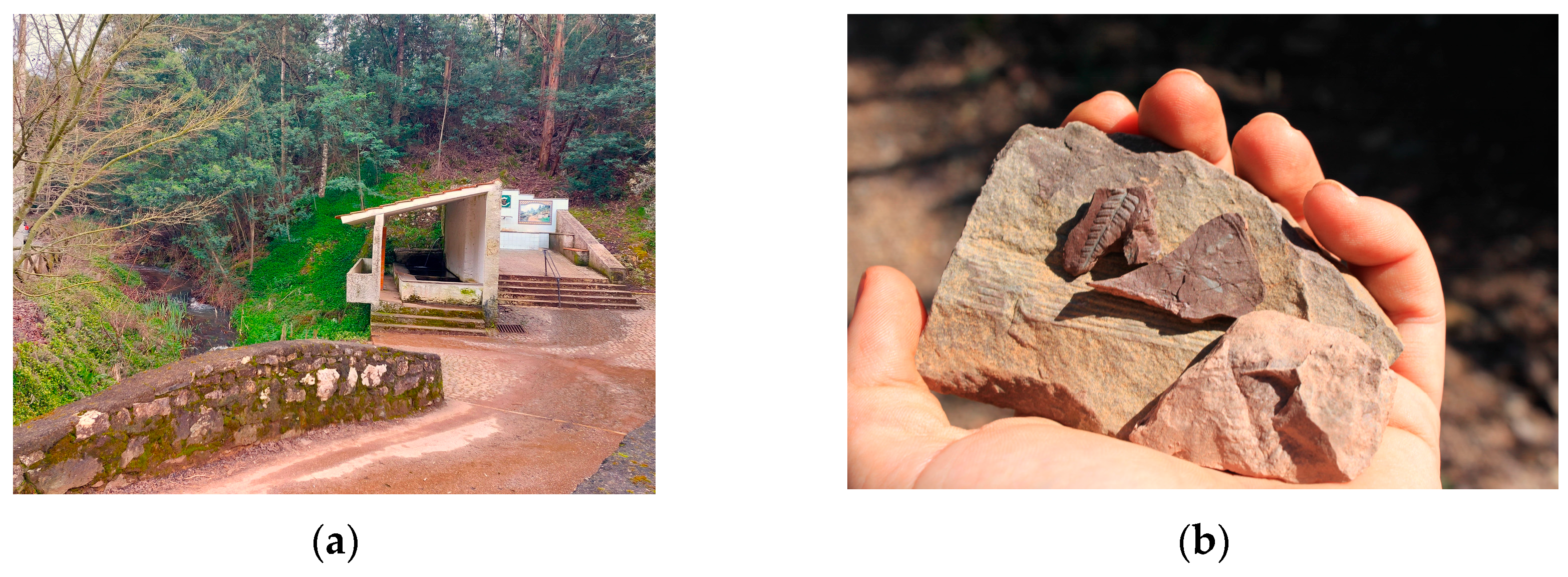 Geosciences 14 00081 g006