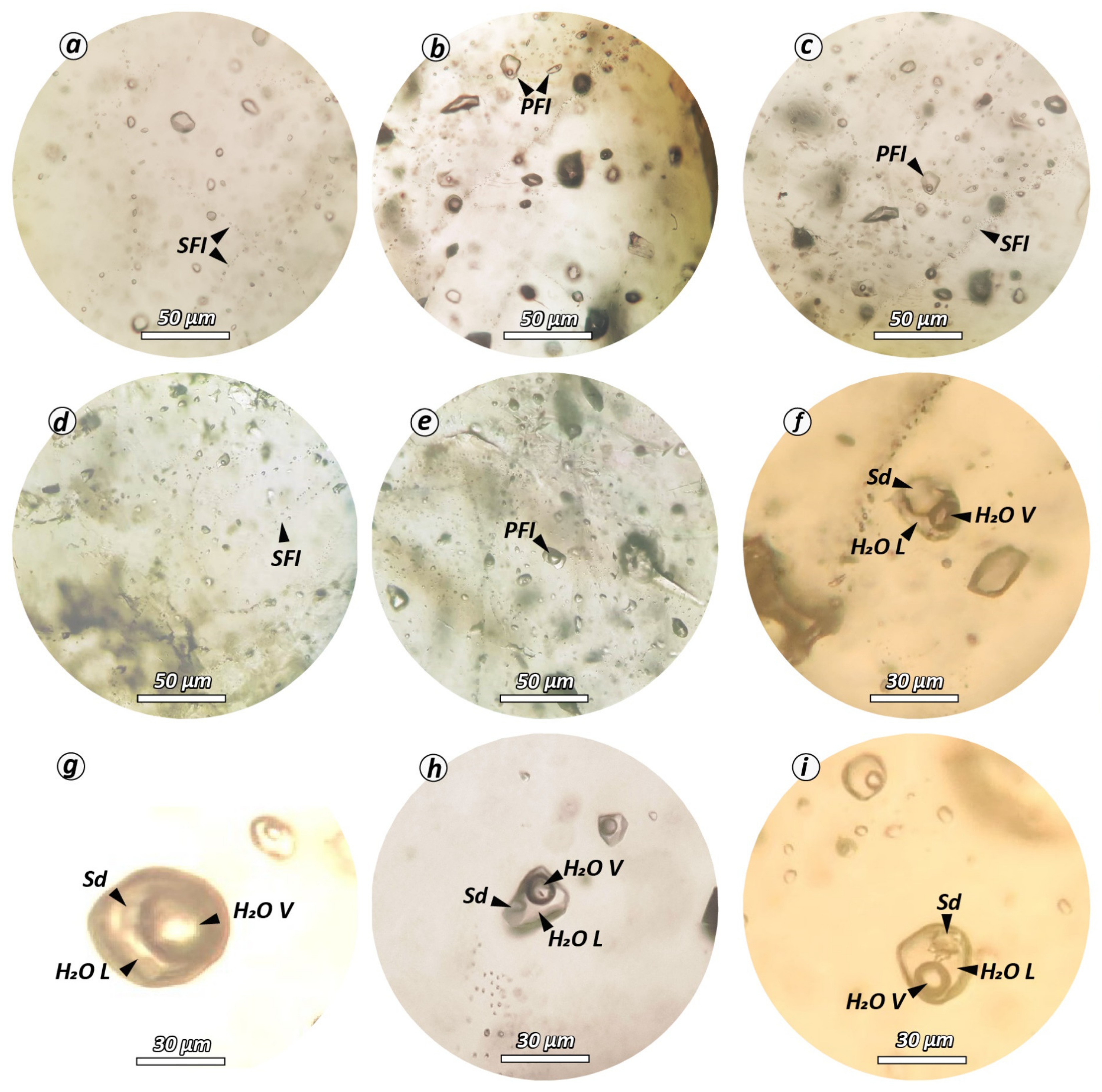 Geosciences 14 00083 g010