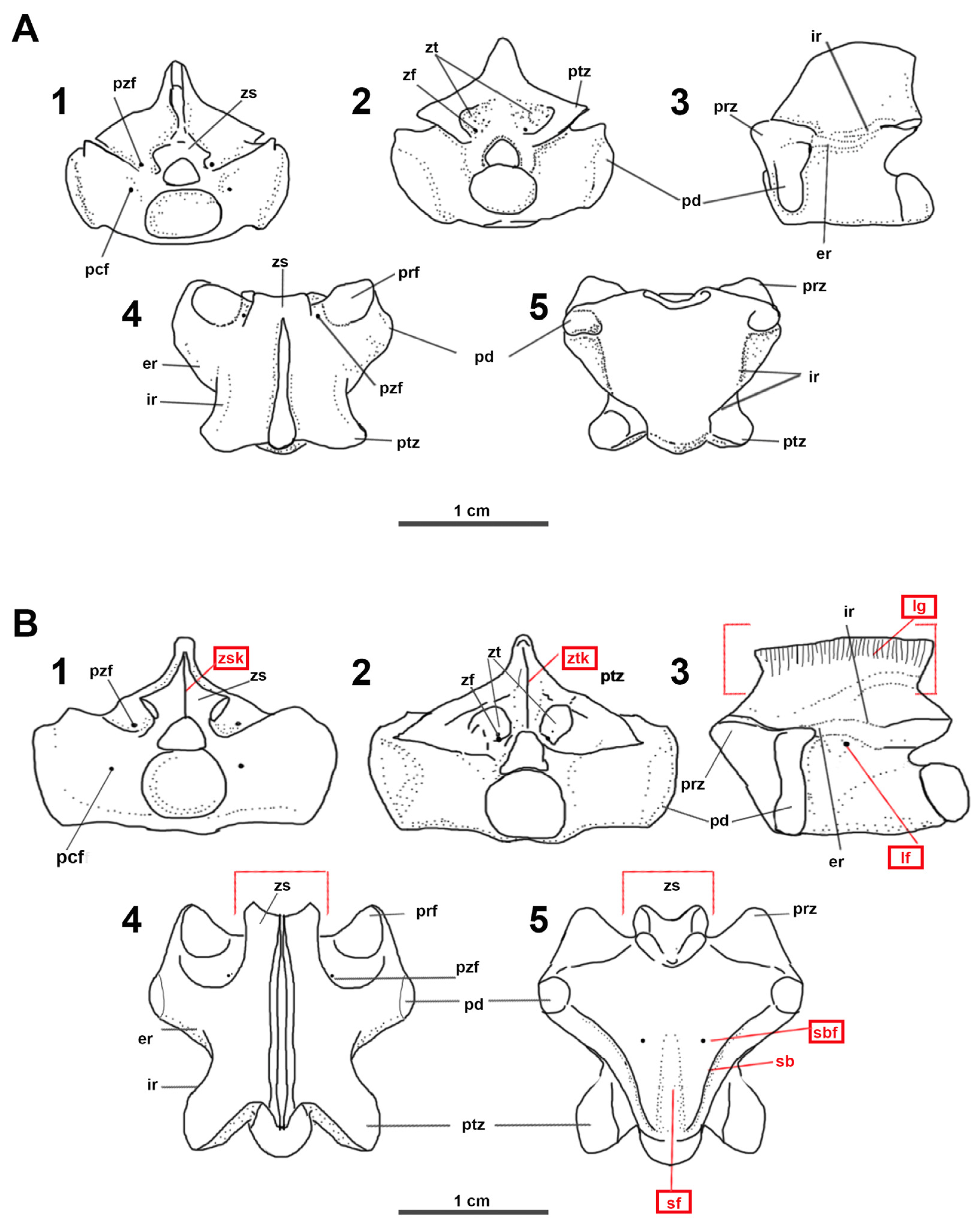 Geosciences 14 00084 g003