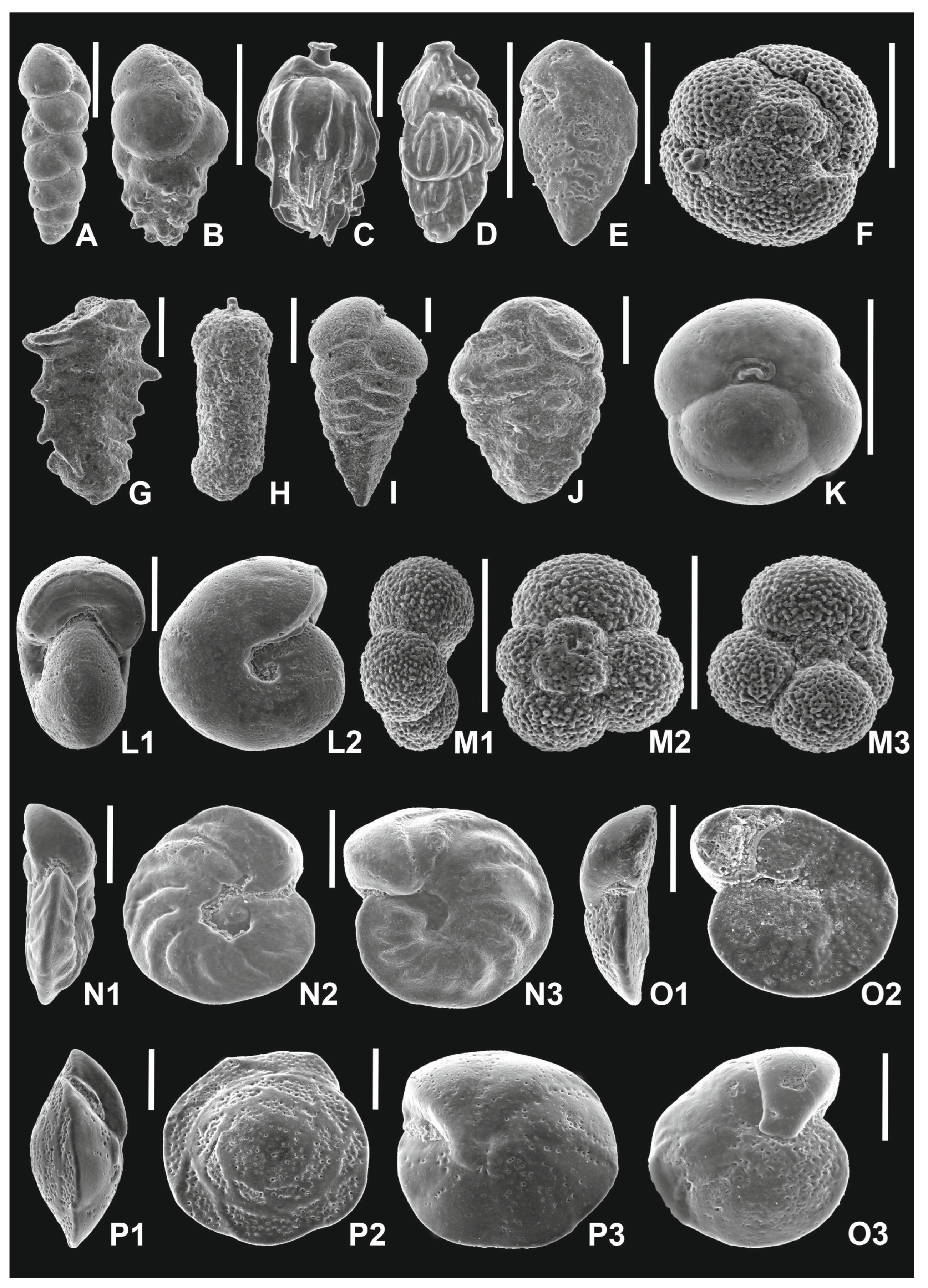 Geosciences 14 00086 g002 Geosciences 14 00086 g002