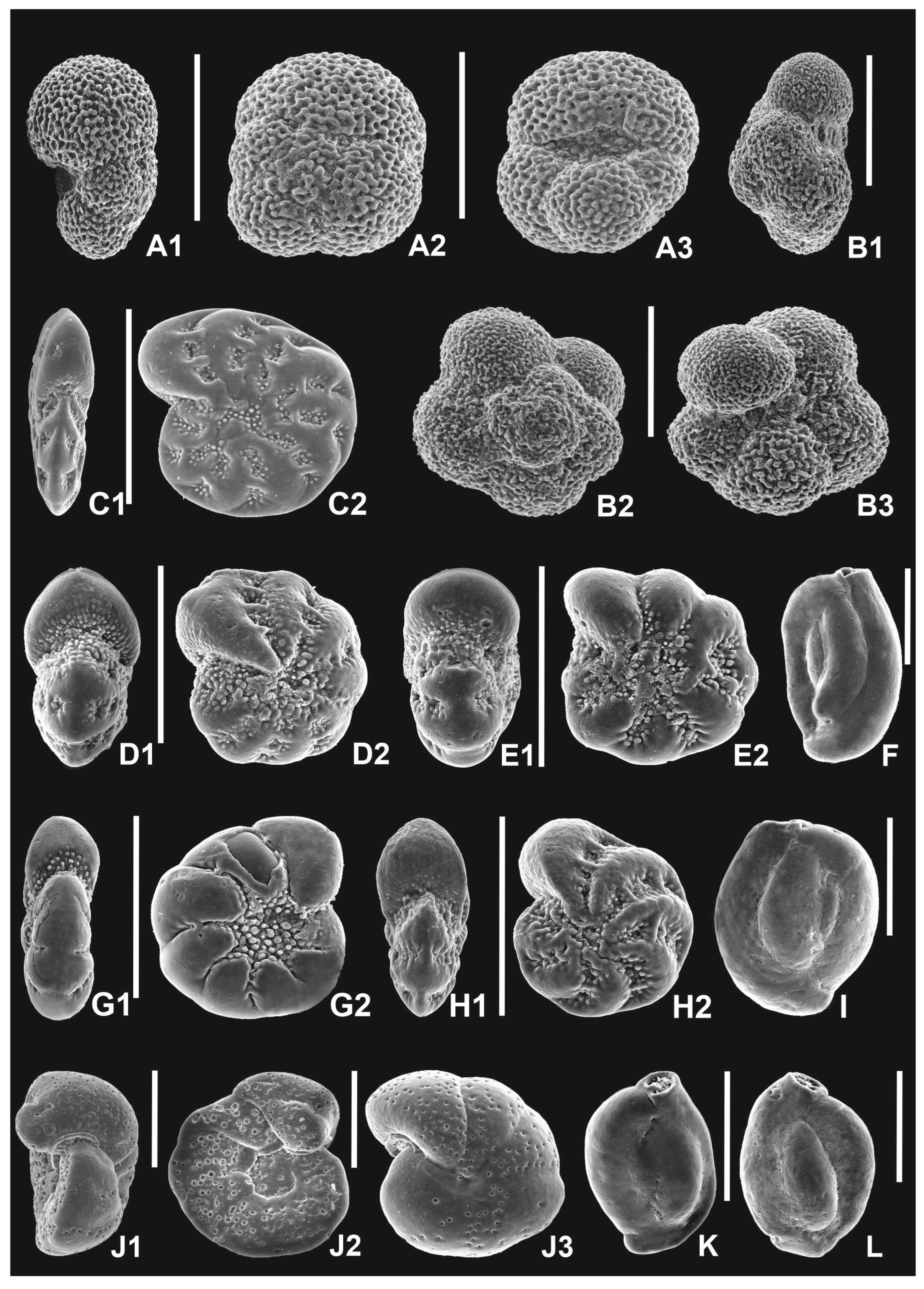 Geosciences 14 00086 g003 Geosciences 14 00086 g003