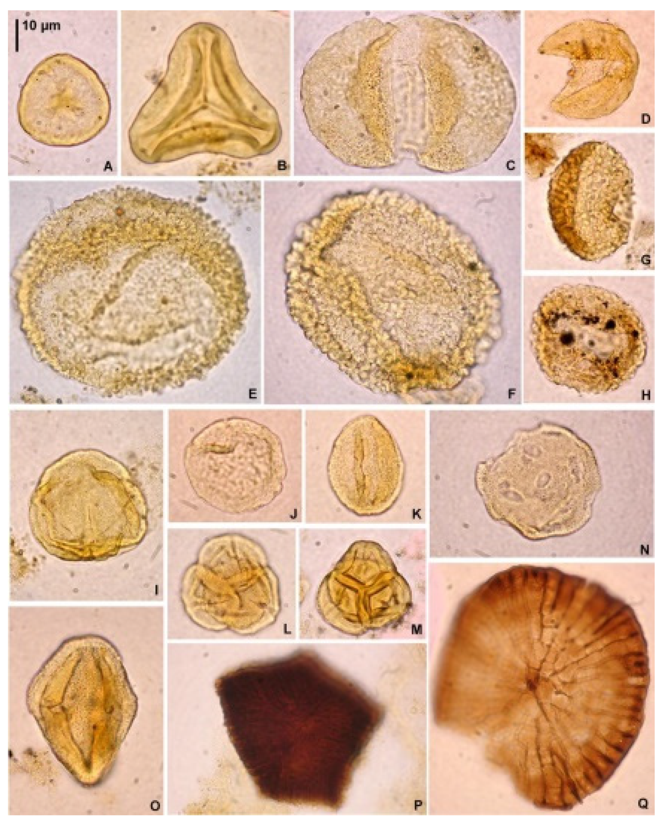 Geosciences 14 00086 g006 Geosciences 14 00086 g006