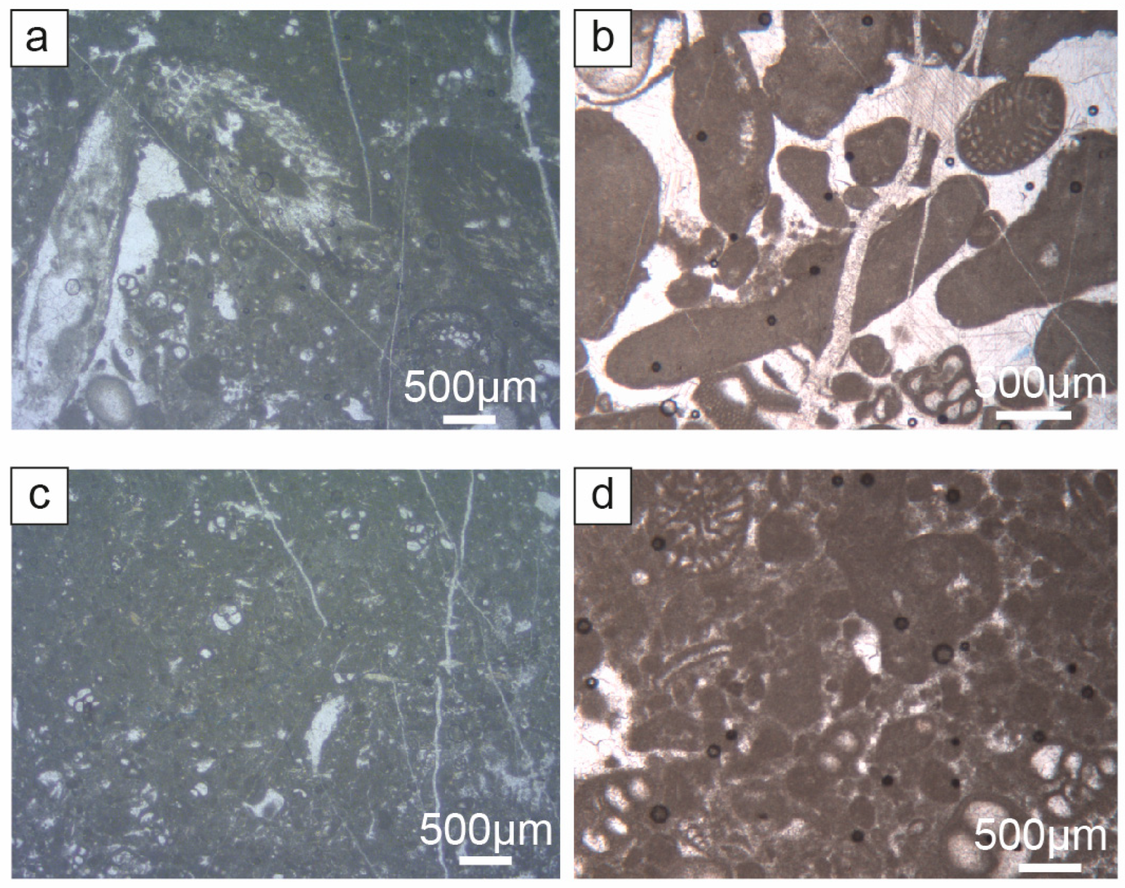 Geosciences 14 00089 g003