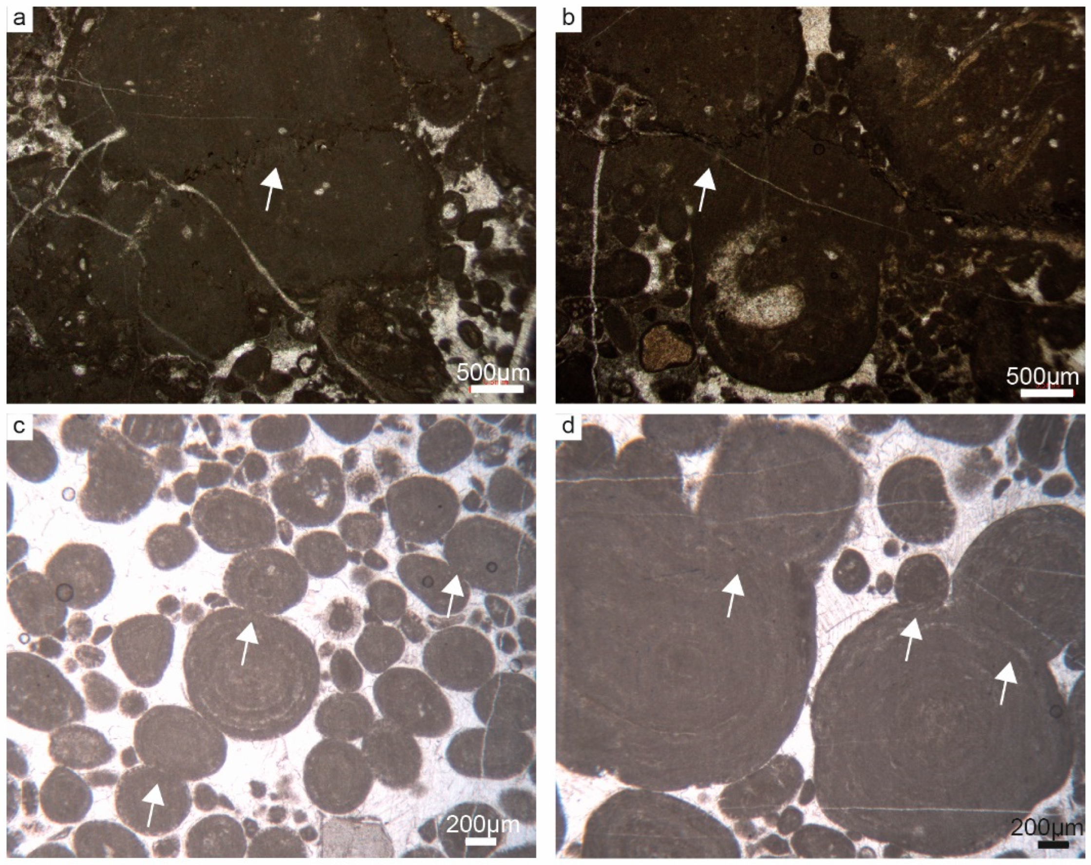 Geosciences 14 00089 g005
