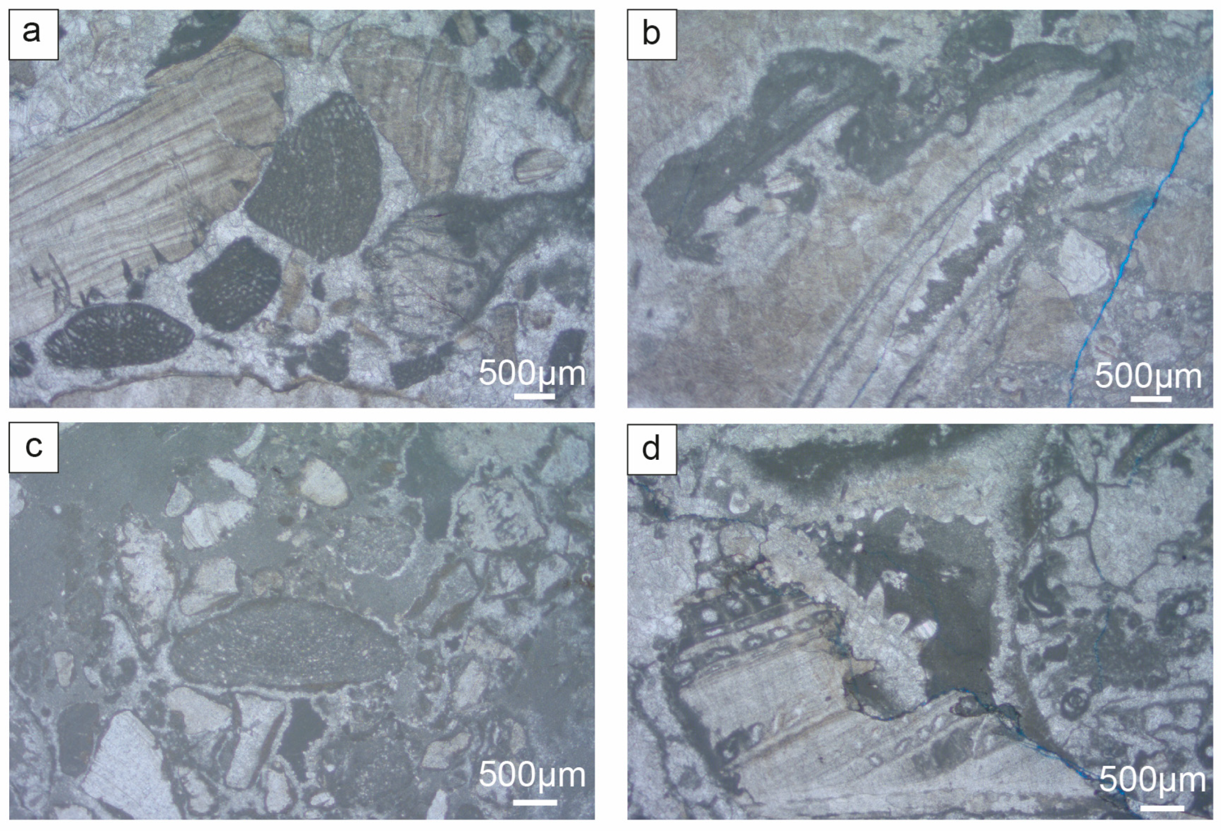 Geosciences 14 00089 g008