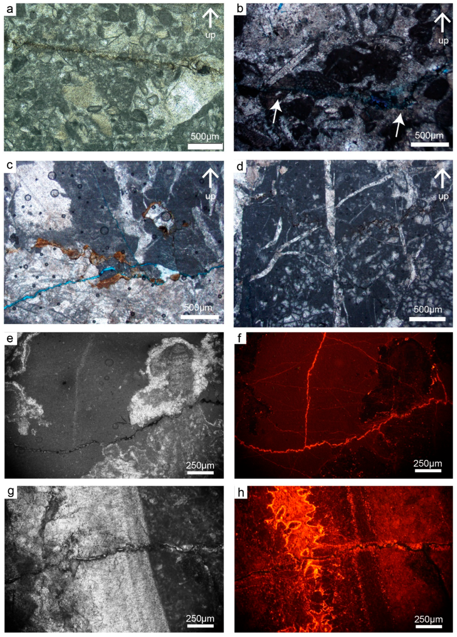 Geosciences 14 00089 g010