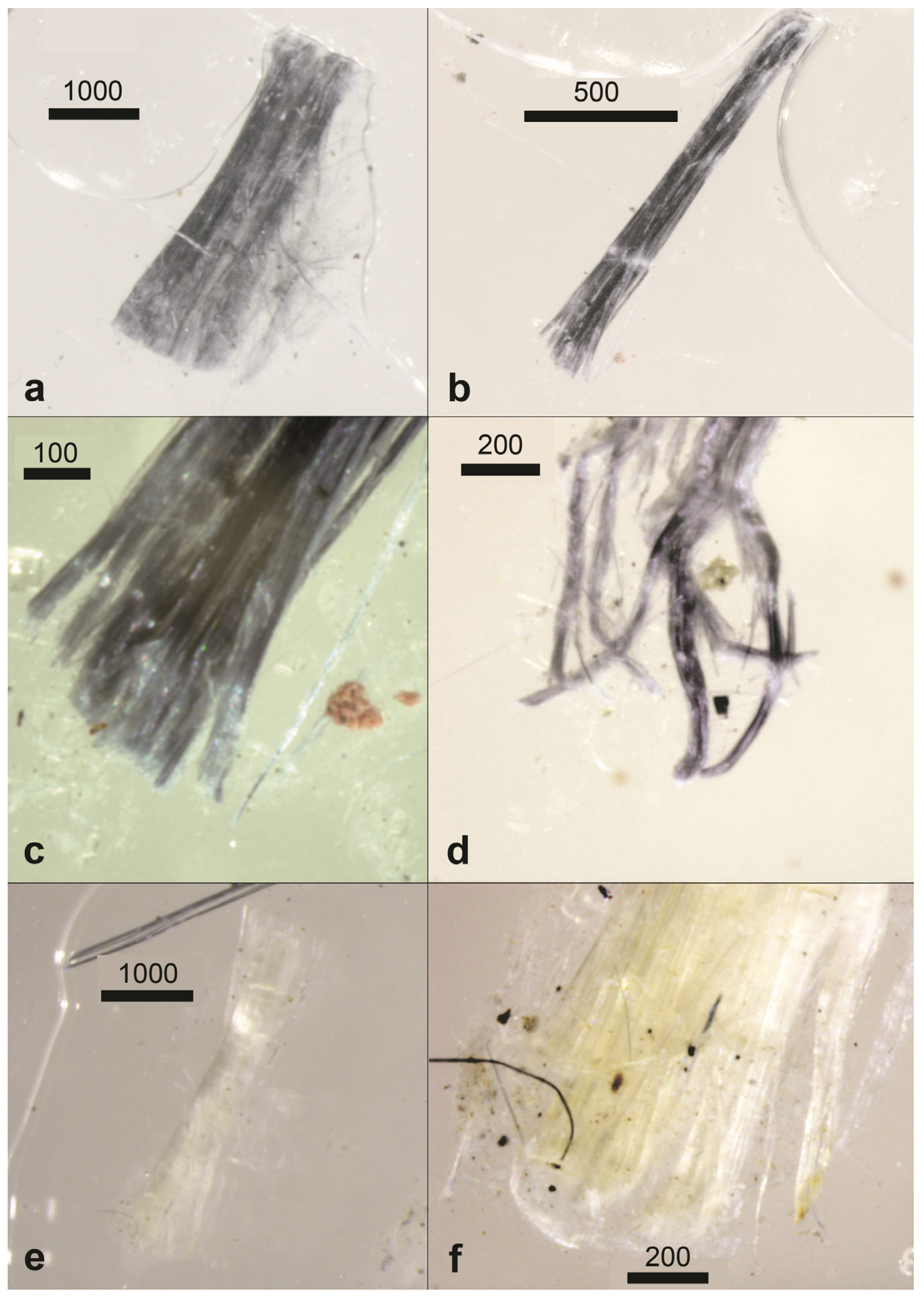 Geosciences 14 00098 g007