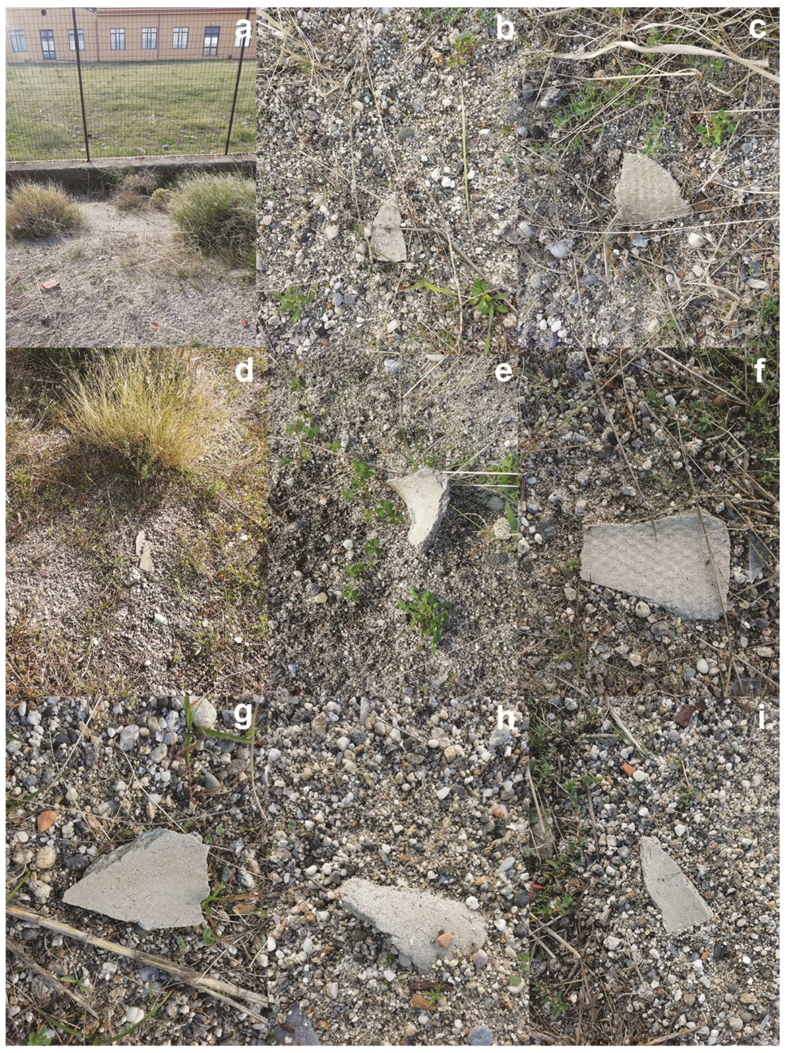 Geosciences 14 00098 g017