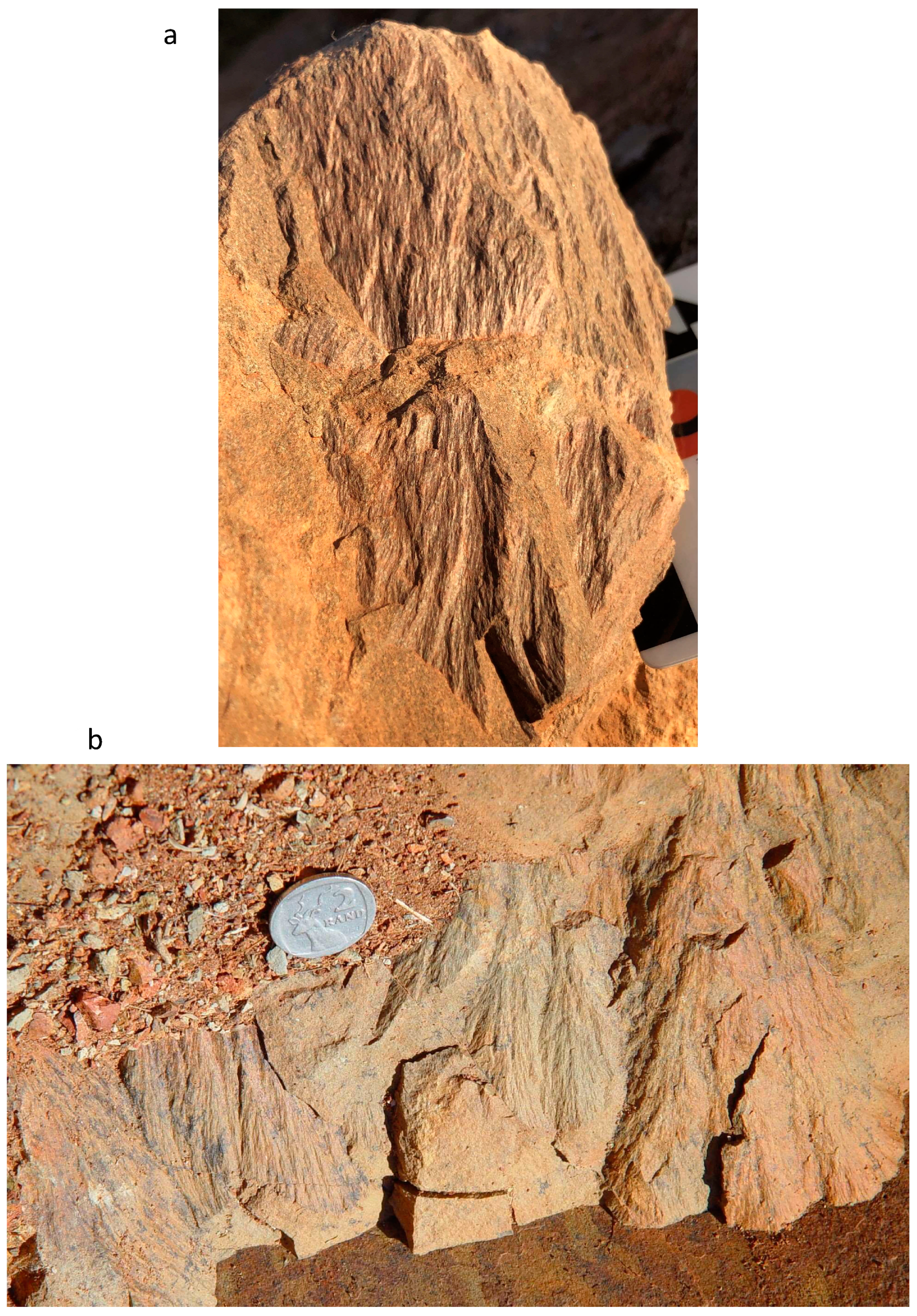 Geosciences 14 00105 g001a