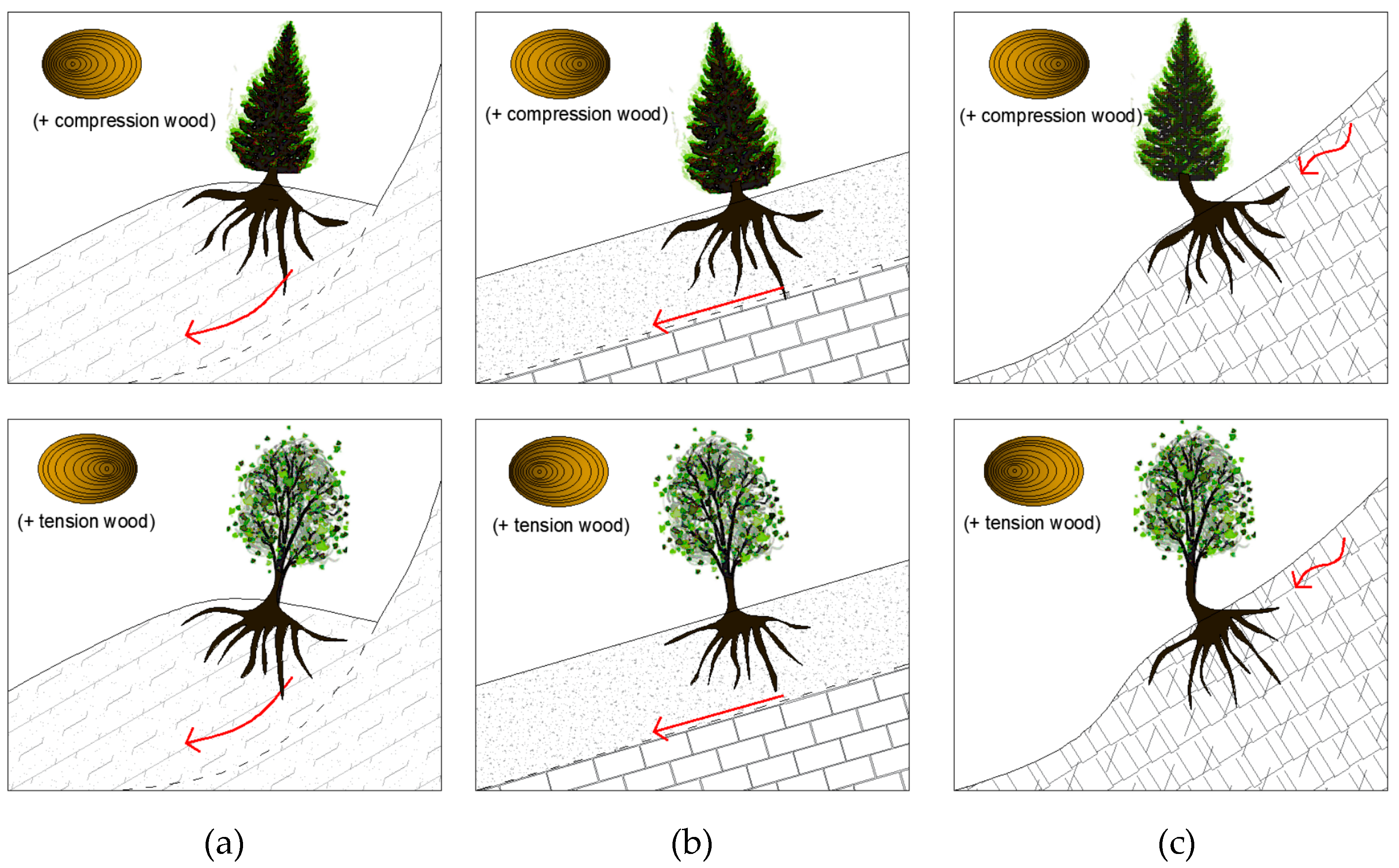 Geosciences 14 00129 g001