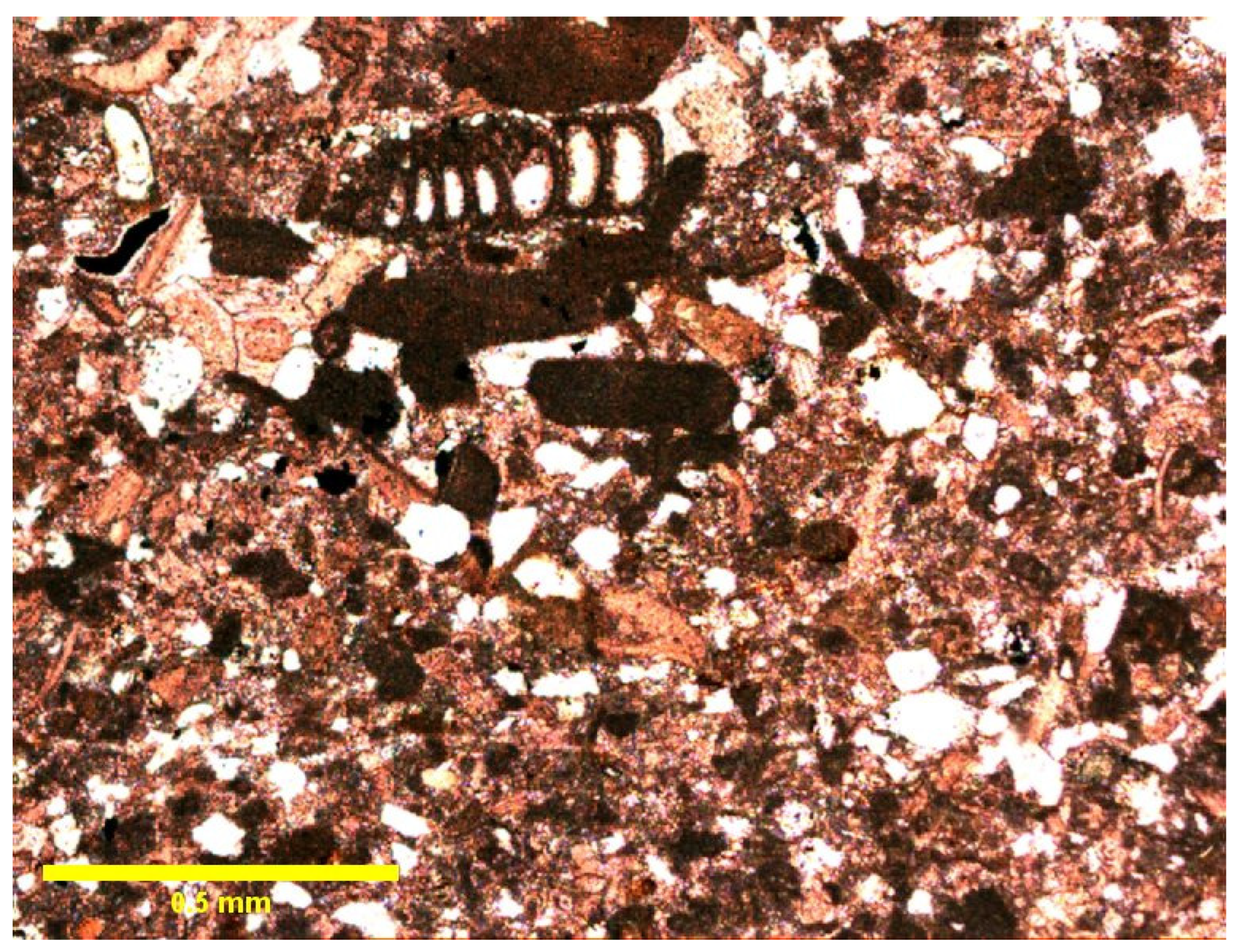 Geosciences 14 00155 g004