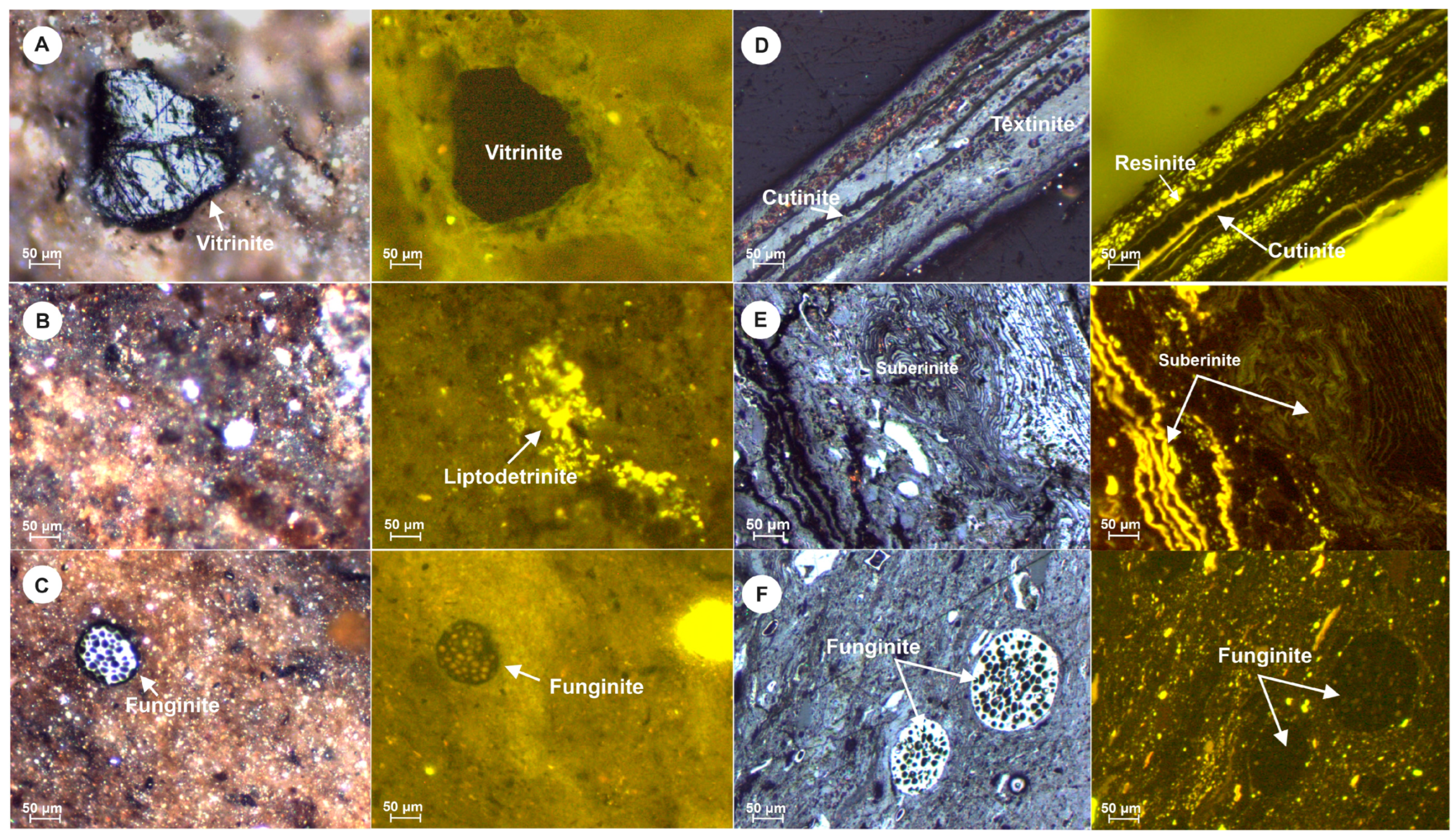 Geosciences 14 00164 g006 Geosciences 14 00164 g006