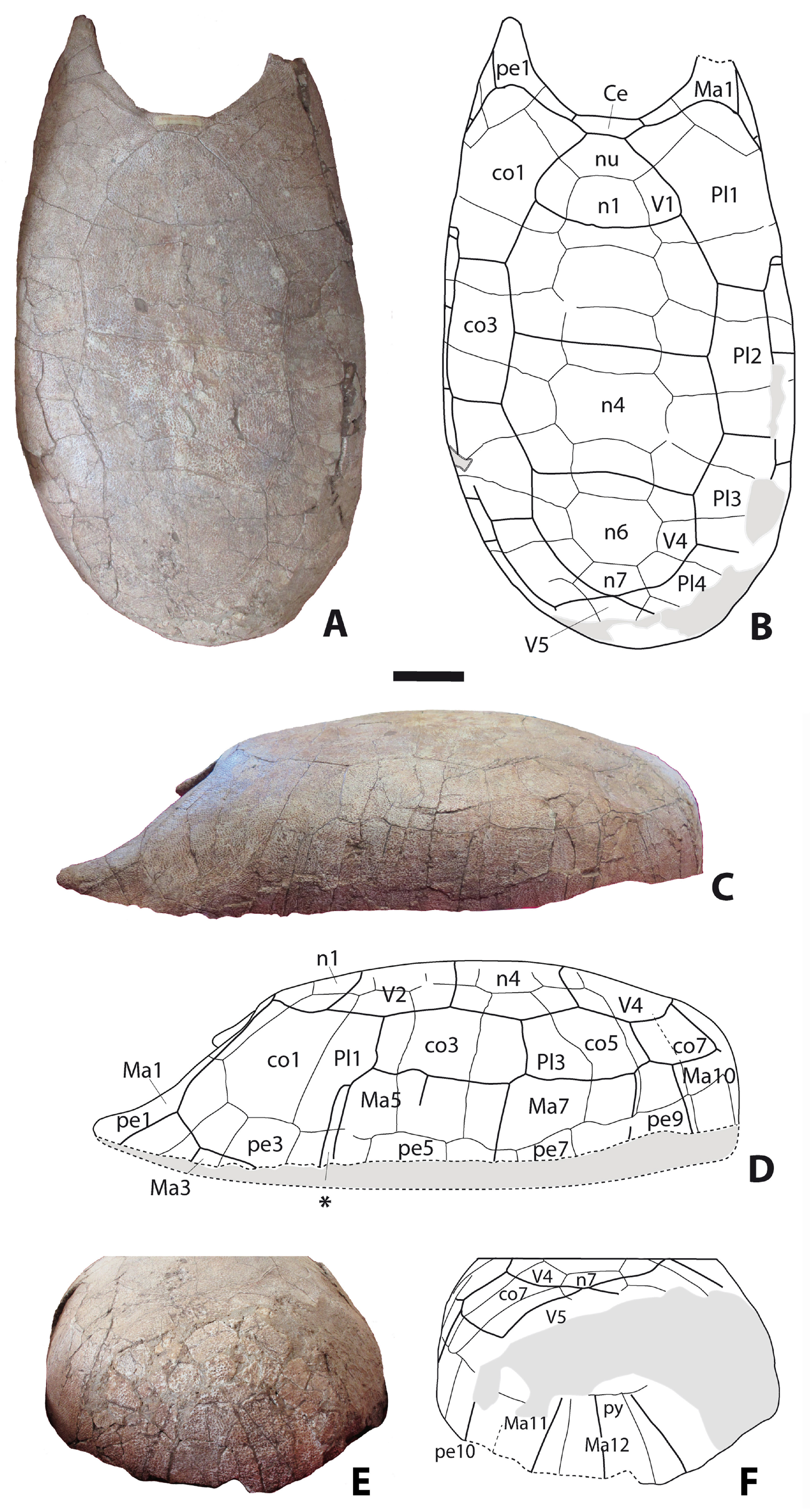 Geosciences 14 00184 g001