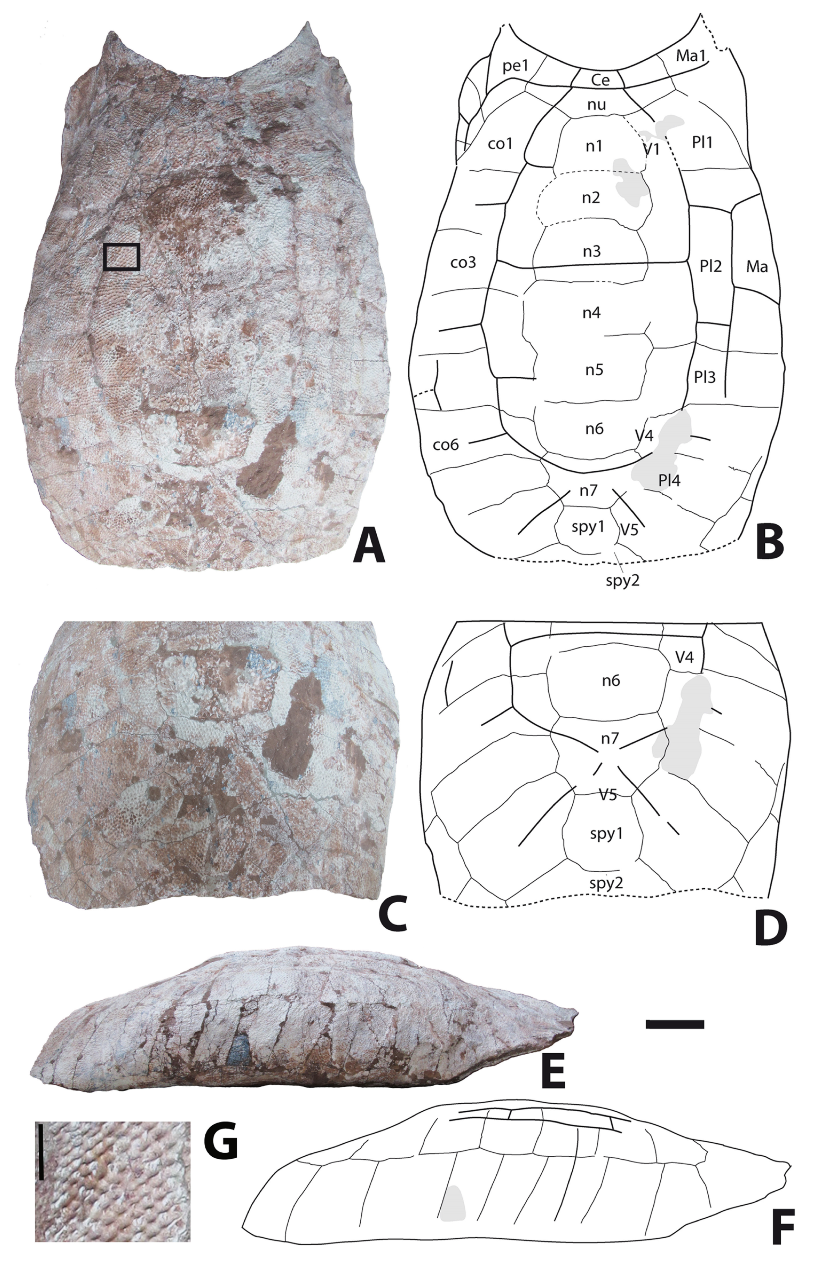 Geosciences 14 00184 g002
