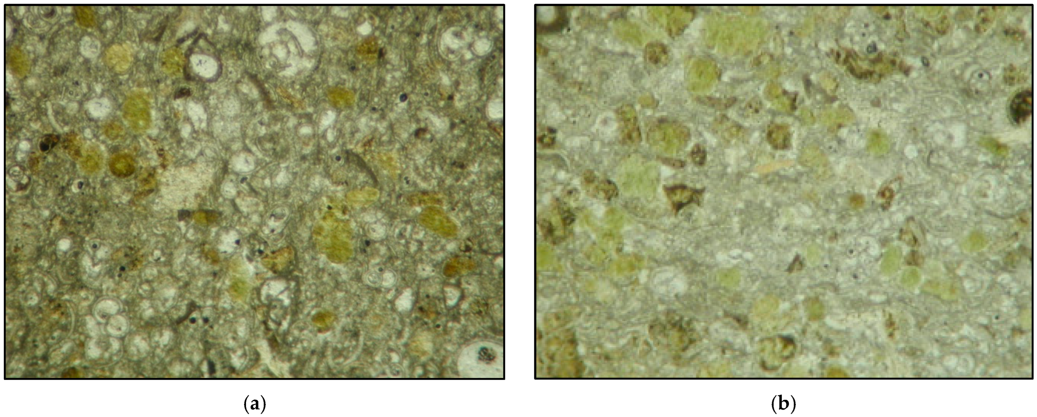 Geosciences 14 00201 g004