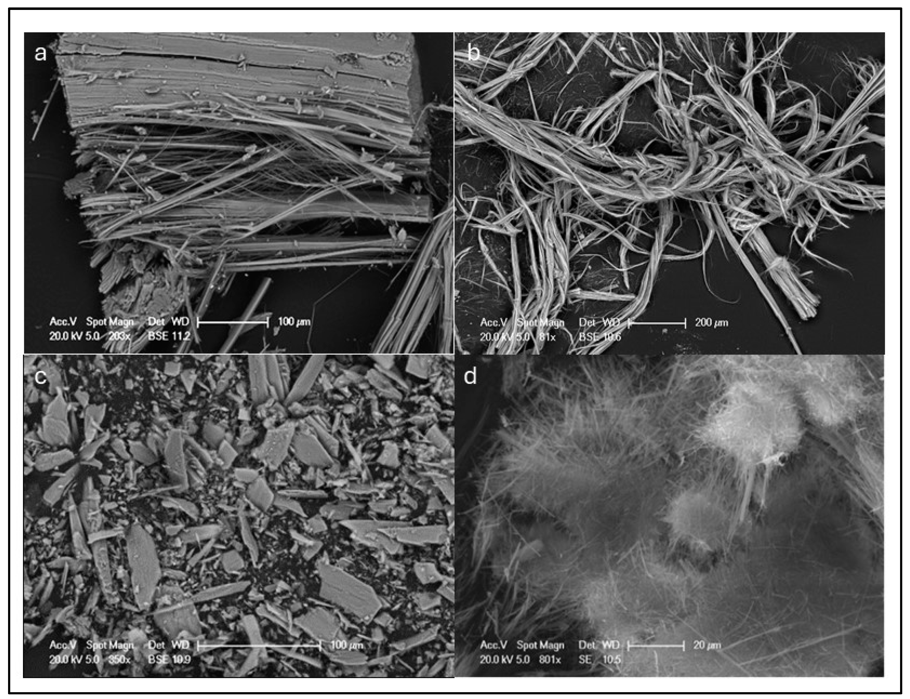 Geosciences 14 00210 g007