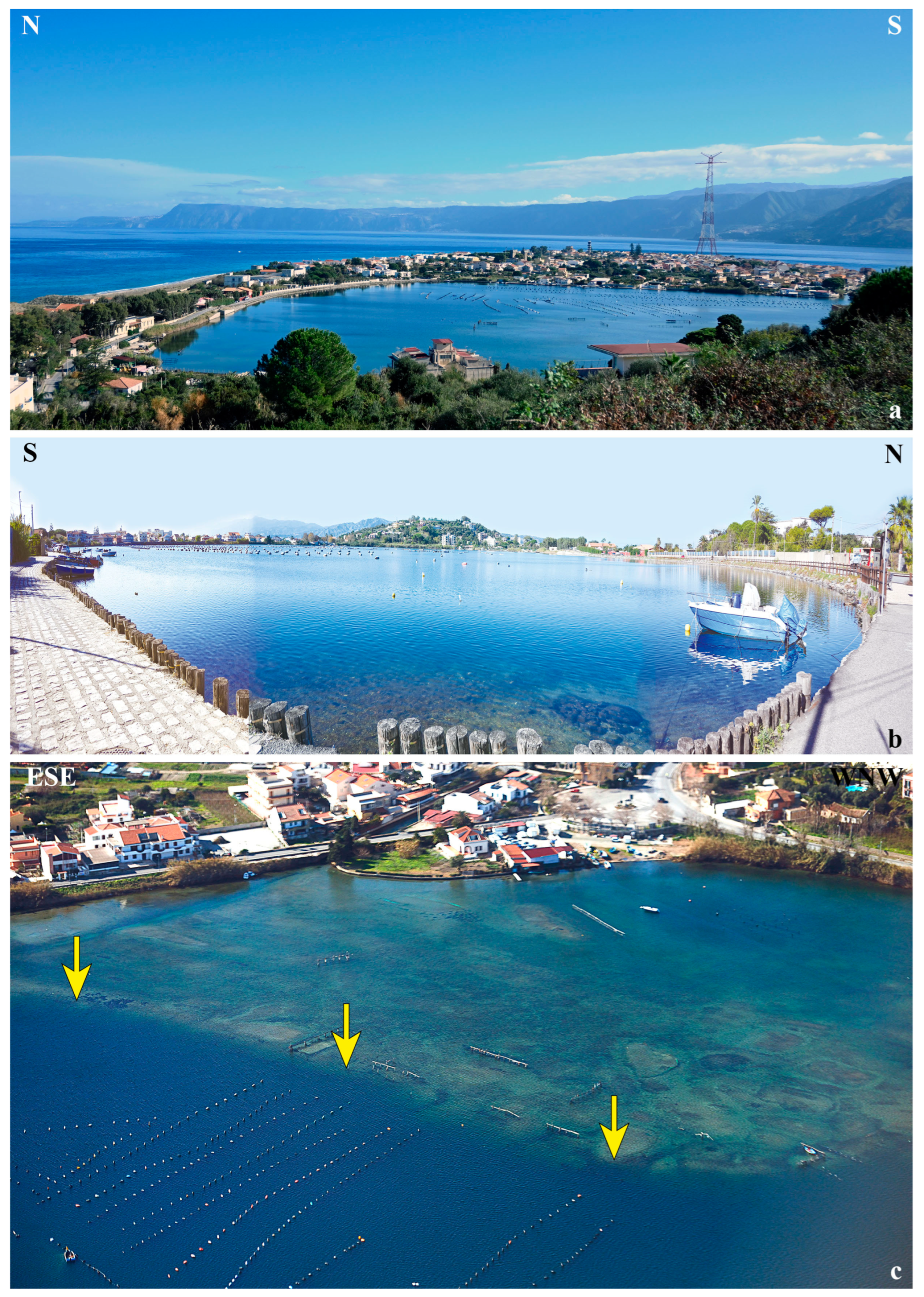 Geosciences 14 00236 g006