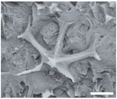 Geosciences 14 00252 i009