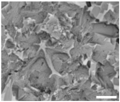 Geosciences 14 00252 i012