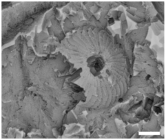 Geosciences 14 00252 i013