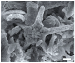 Geosciences 14 00252 i024