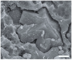 Geosciences 14 00252 i031