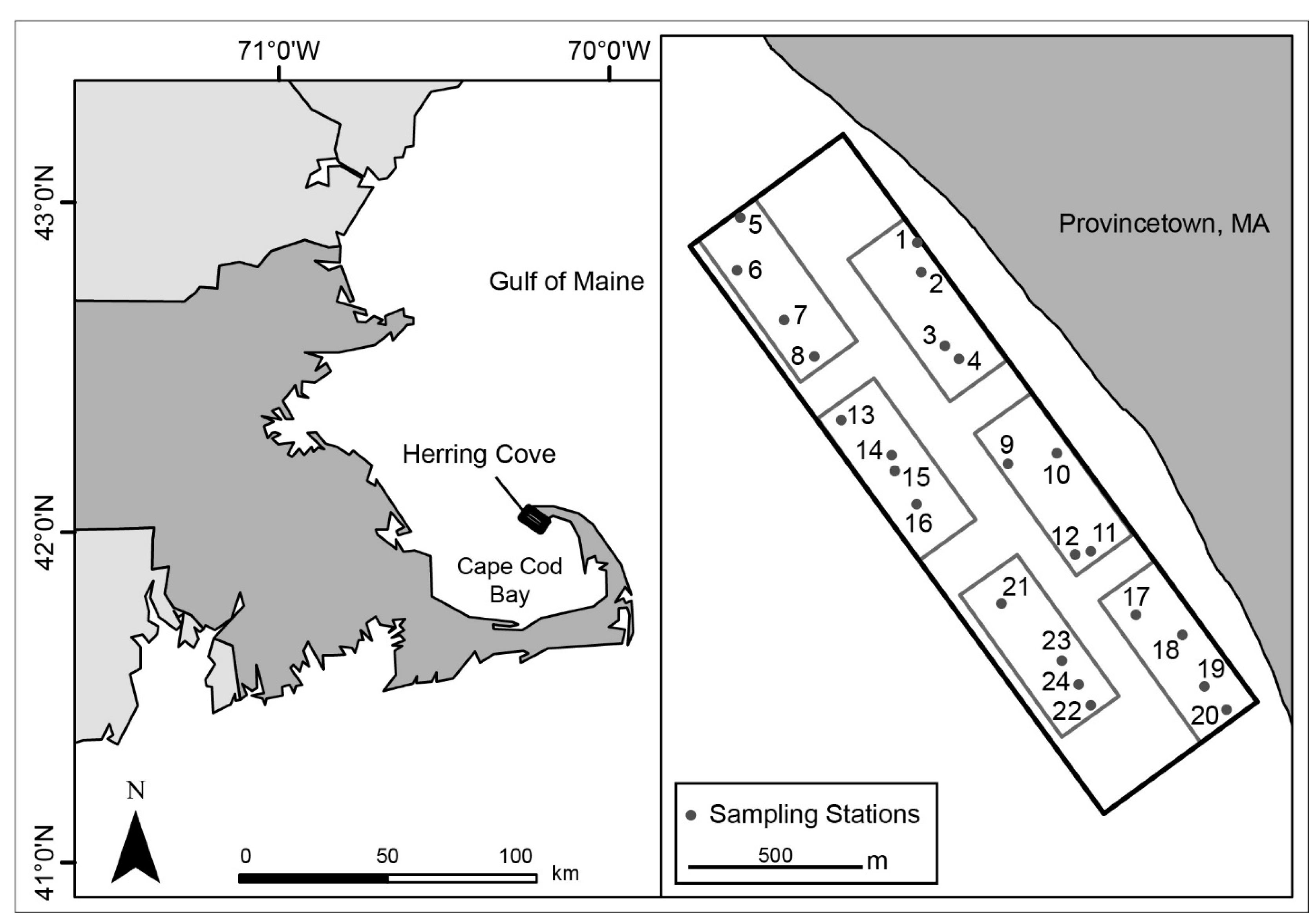 Geosciences 14 00313 g001