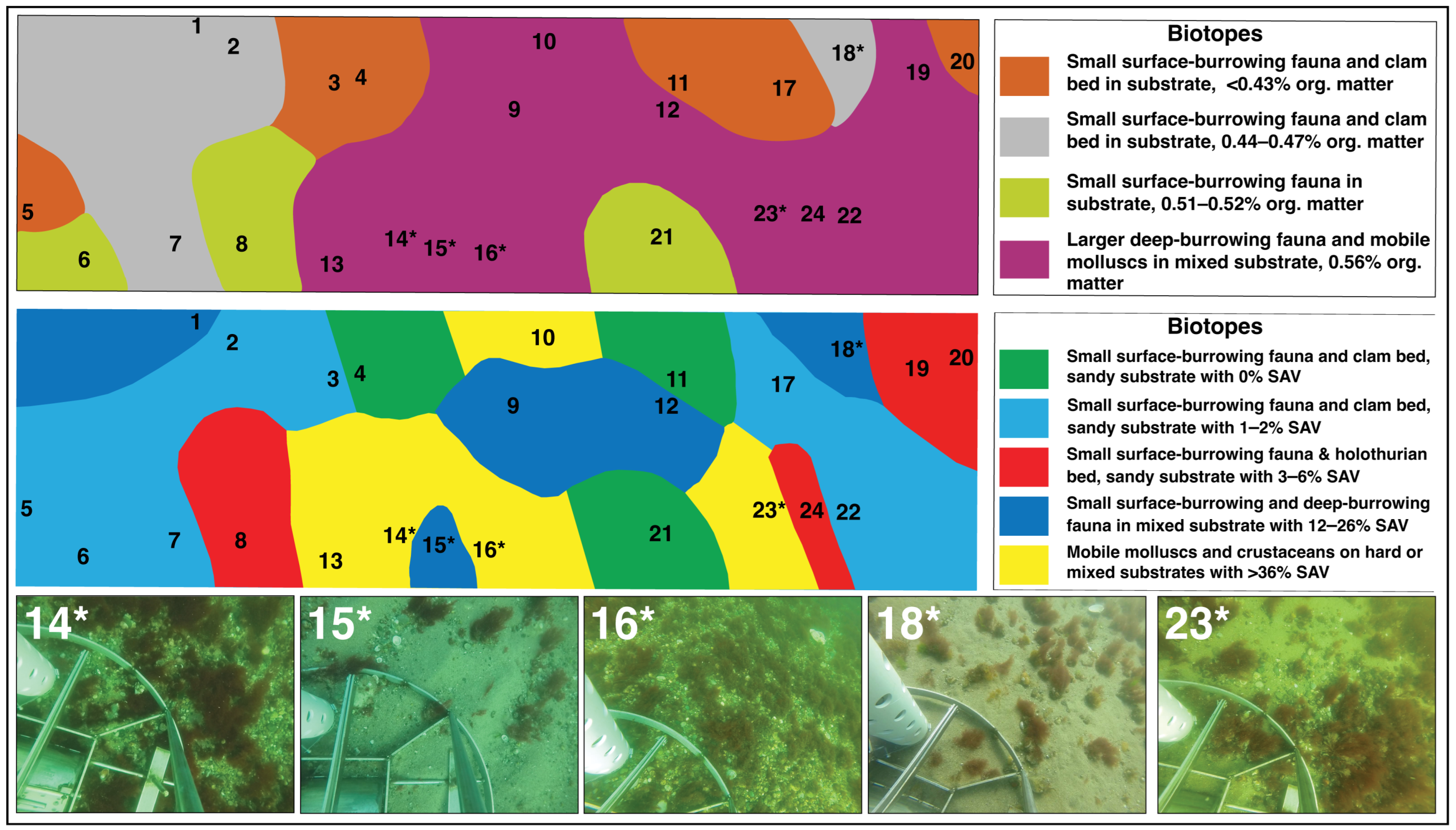 Geosciences 14 00313 g005