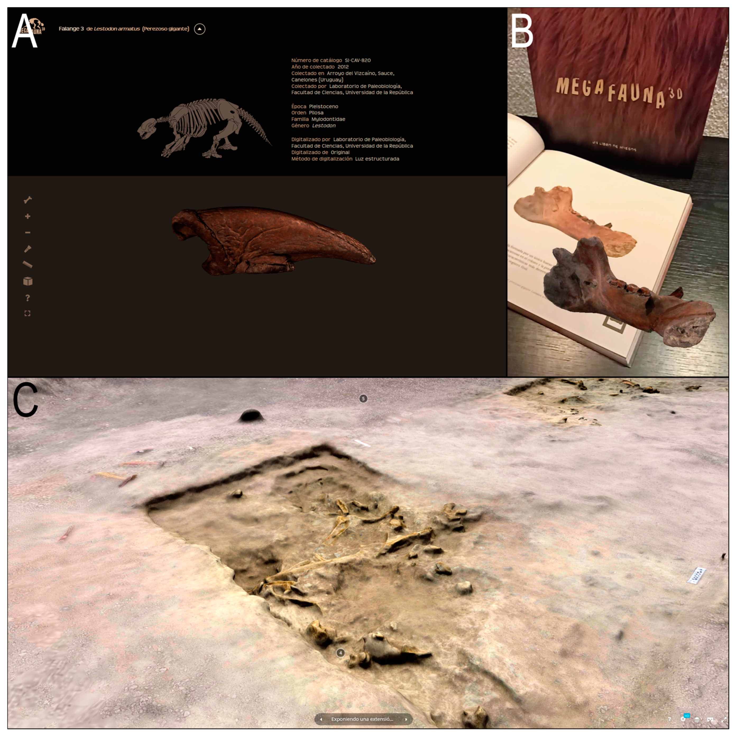 Geosciences 14 00321 g003