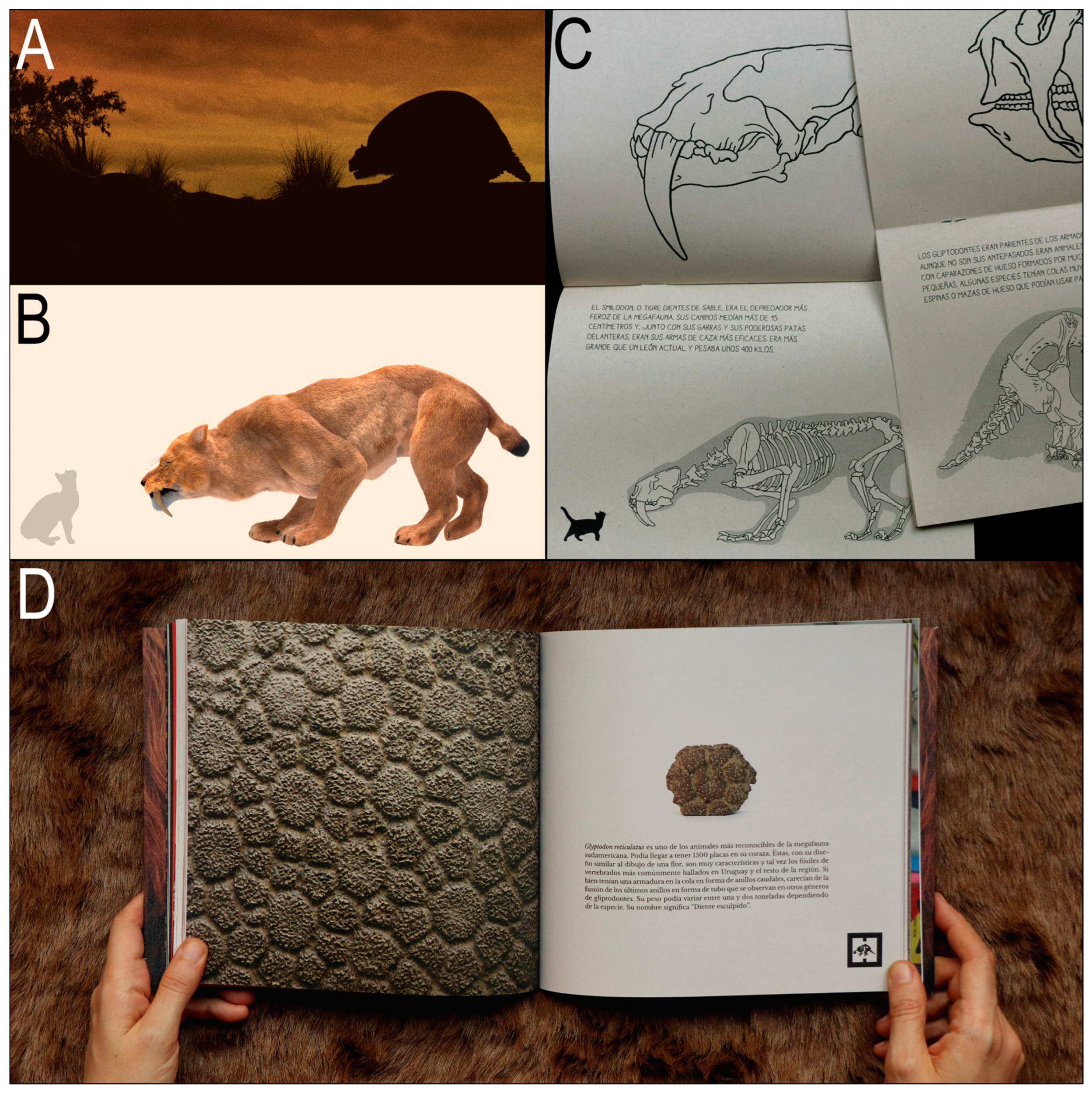 Geosciences 14 00321 g005