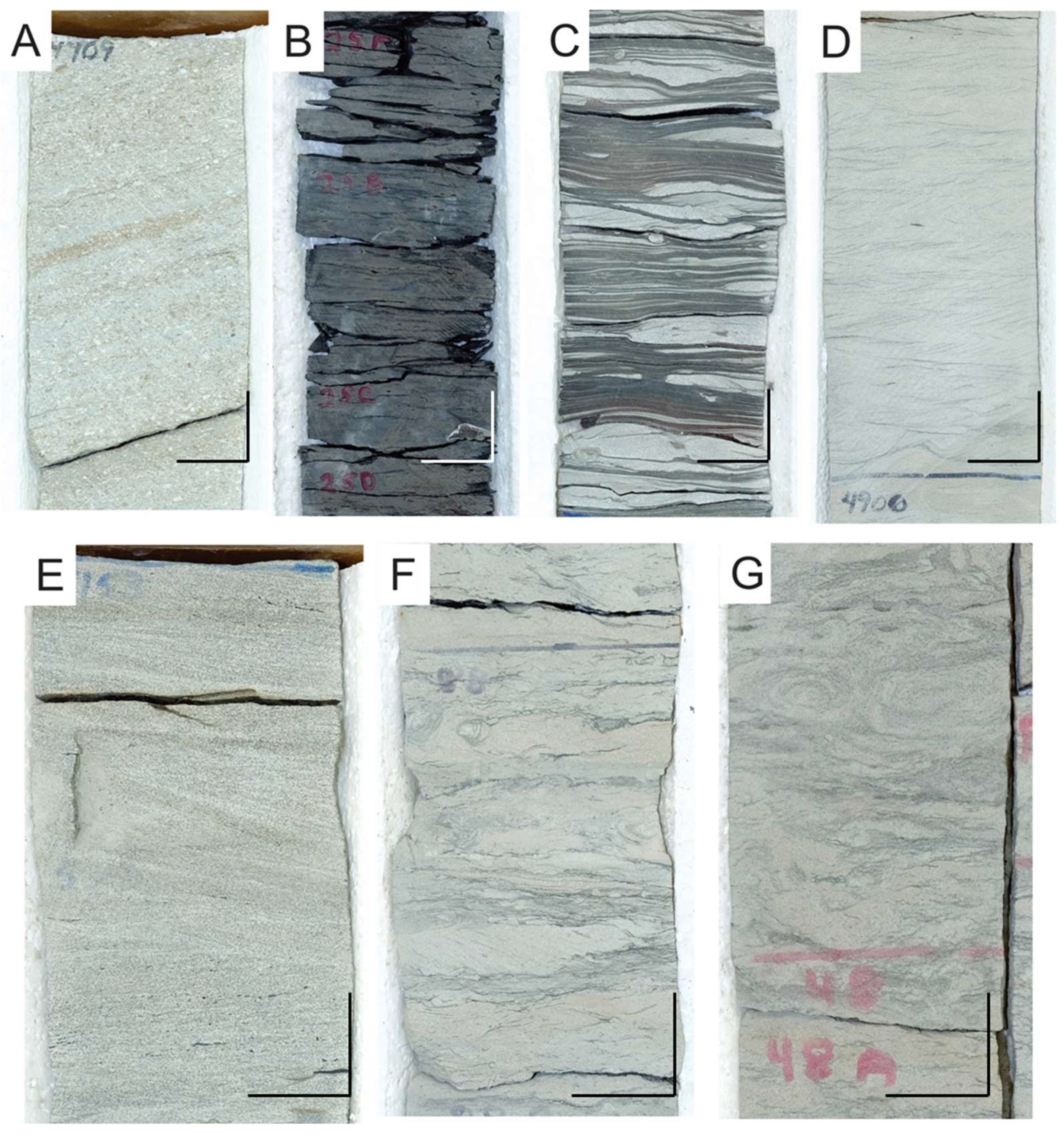 Geosciences 14 00339 g004