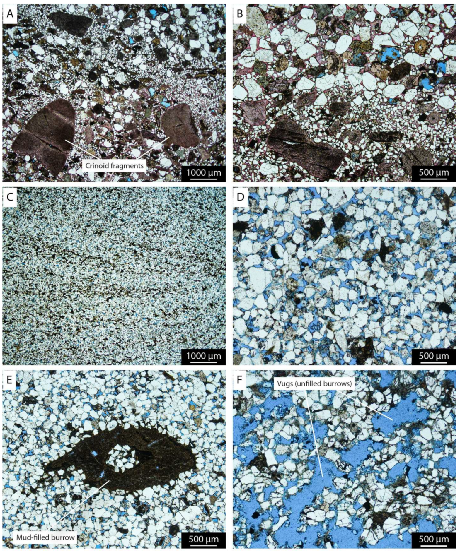 Geosciences 14 00339 g005