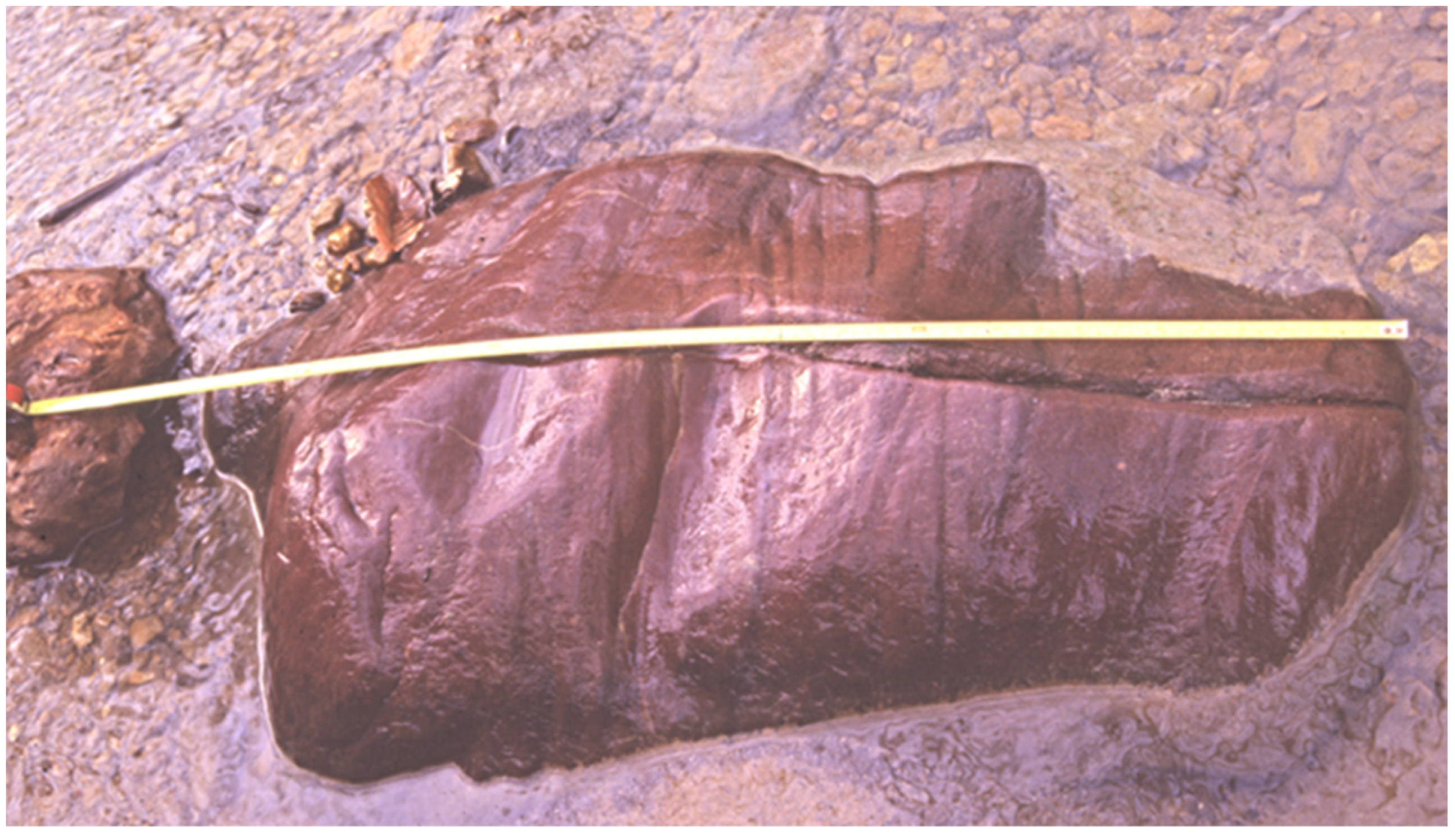 Geosciences 14 00340 g006