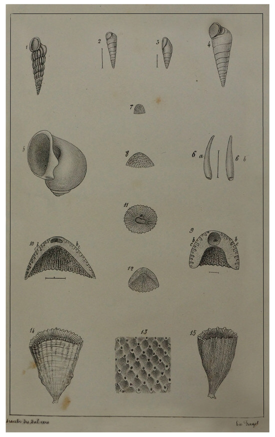 Geosciences 14 00343 g008
