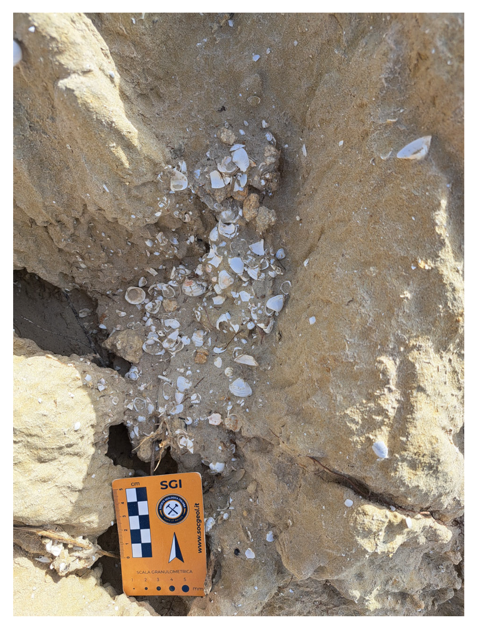 Geosciences 14 00343 g009 Geosciences 14 00343 g009