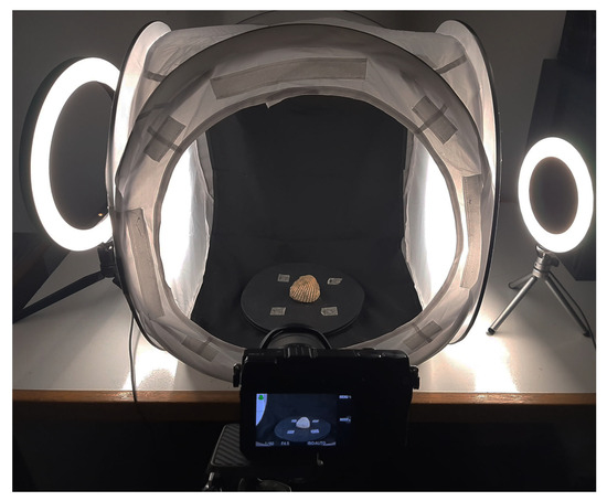 Geosciences 14 00343 g014
