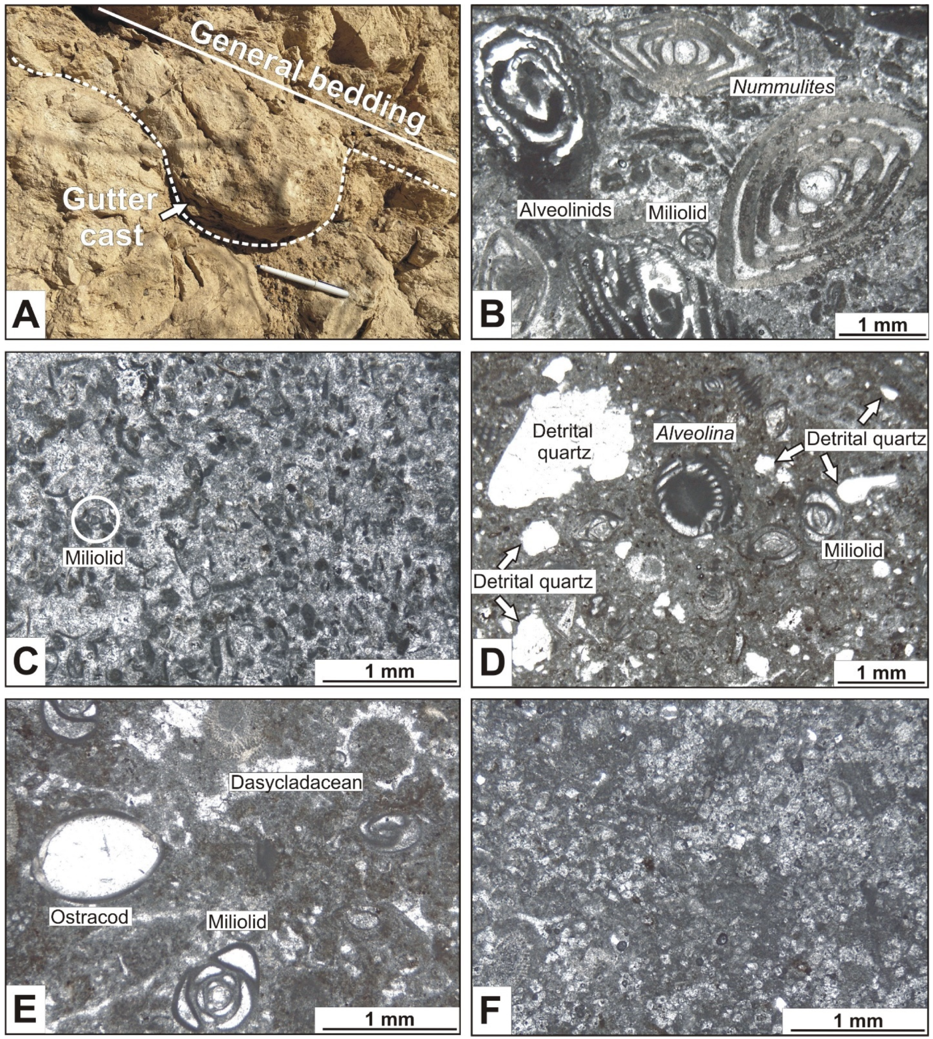 Geosciences 14 00352 g006