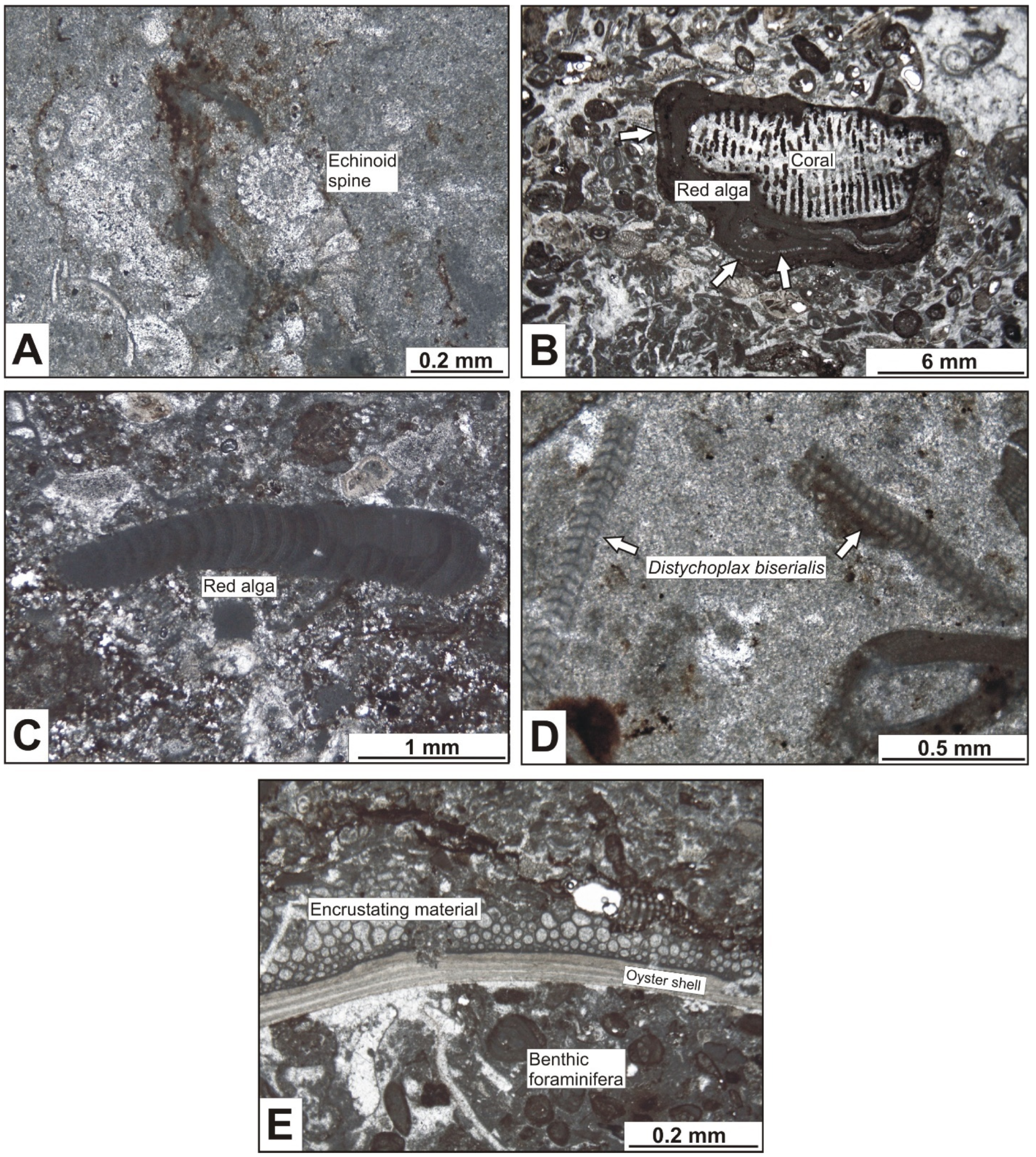 Geosciences 14 00352 g008