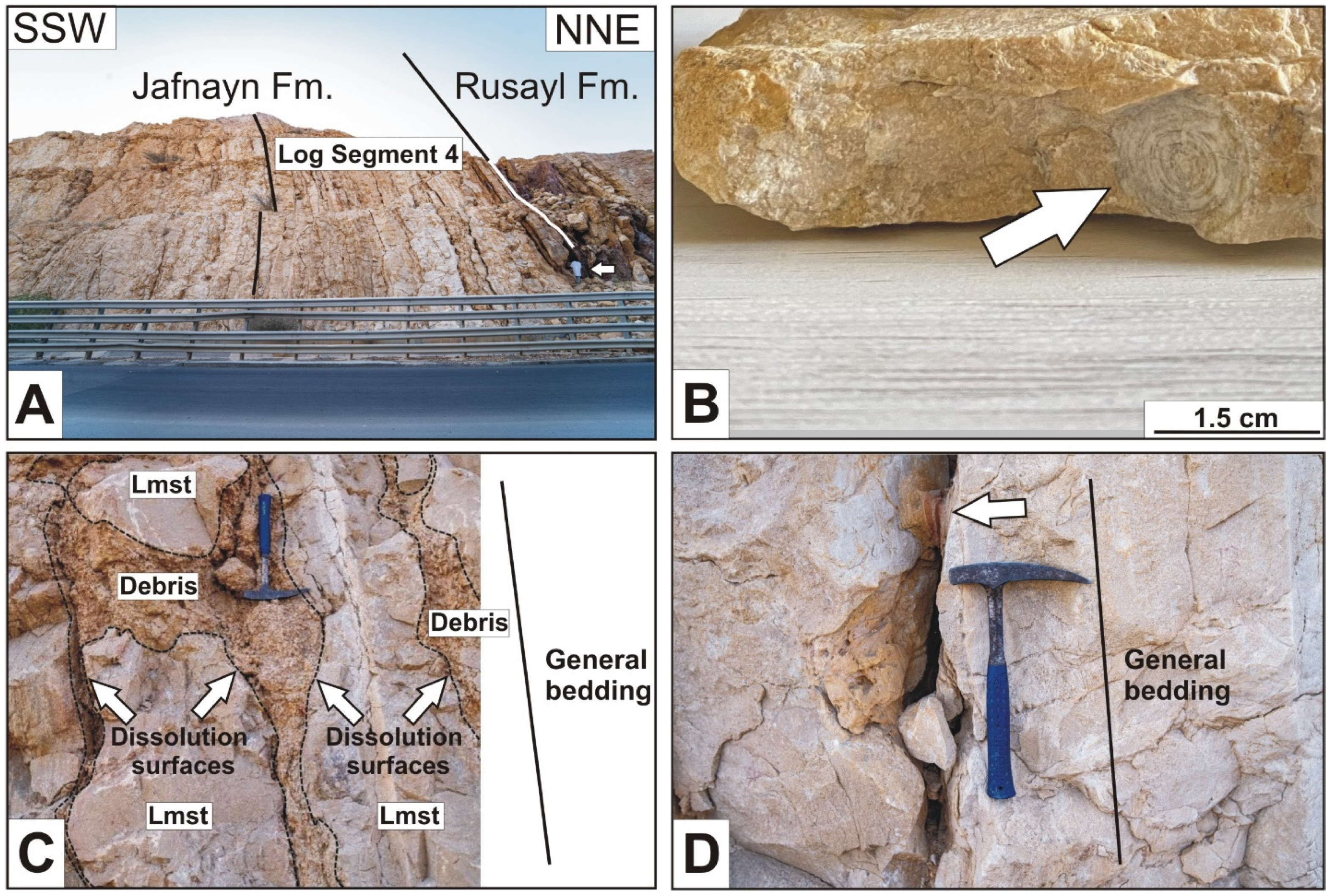 Geosciences 14 00352 g012